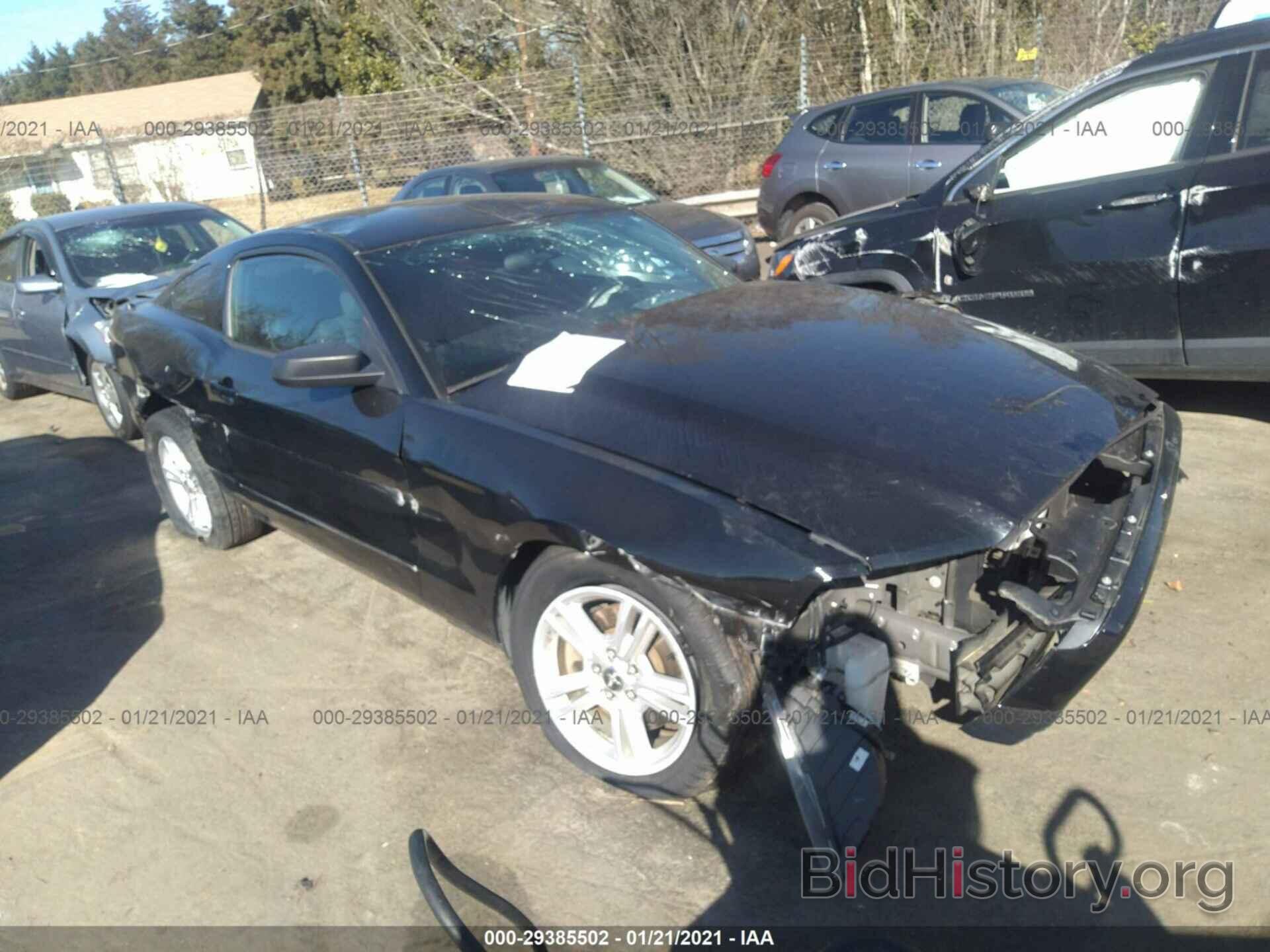 Photo 1ZVBP8AM7E5305488 - FORD MUSTANG 2014