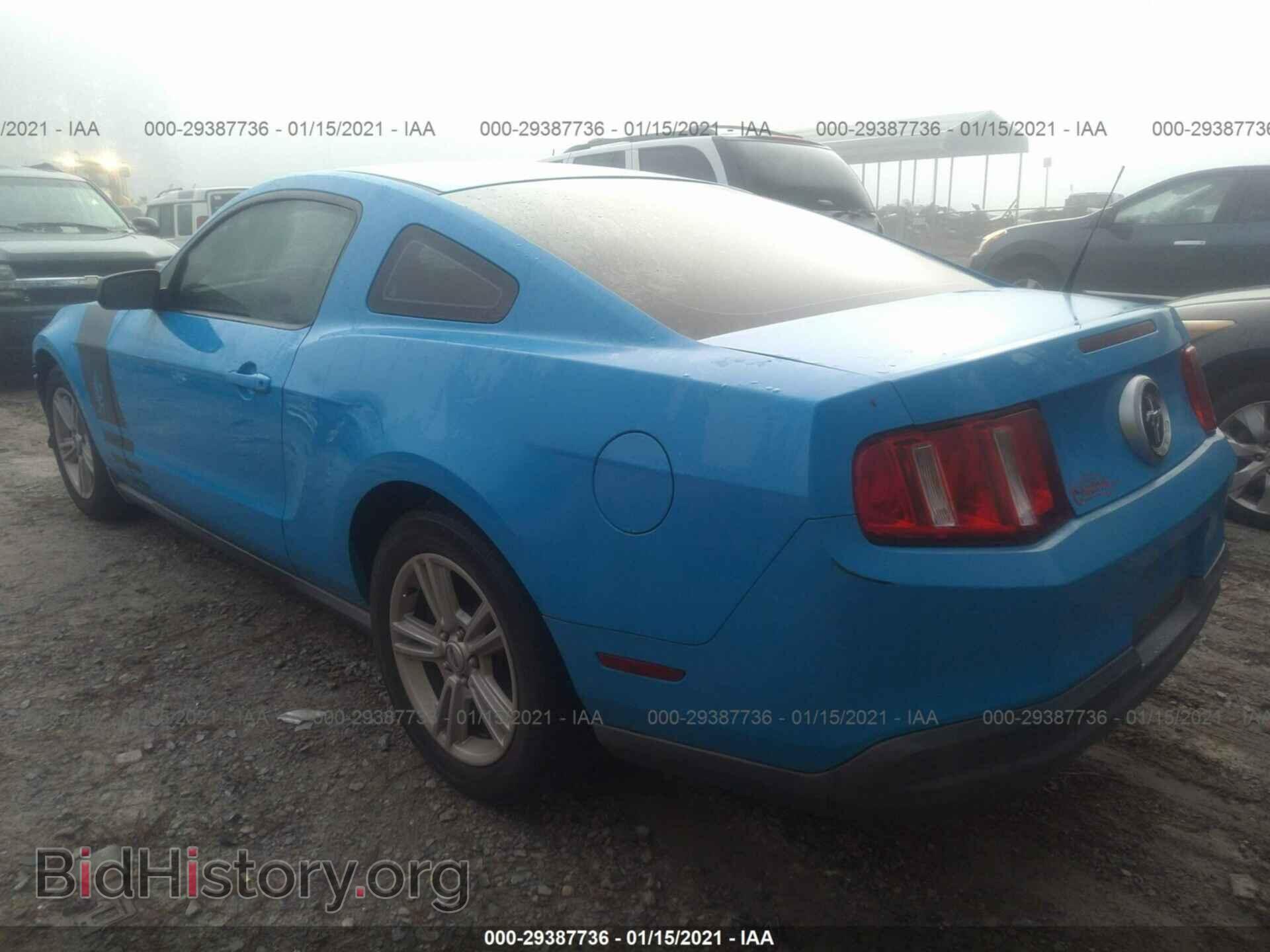 2010 FORD MUSTANG - VIN: 1ZVBP8AN1A5132585 - Фото 3