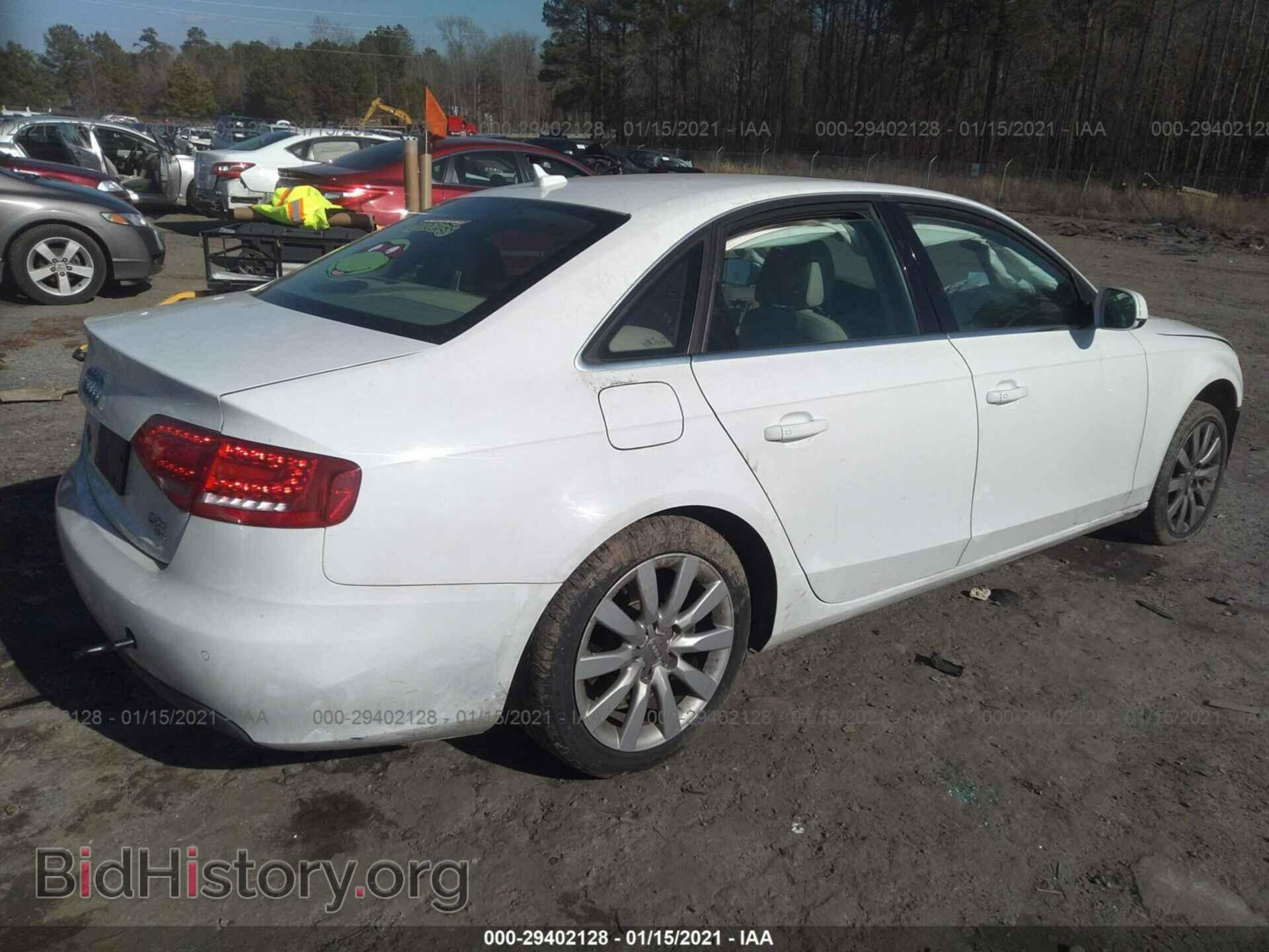 2011 AUDI A4 - VIN: WAUFFAFL2BN022231 - Фото 4