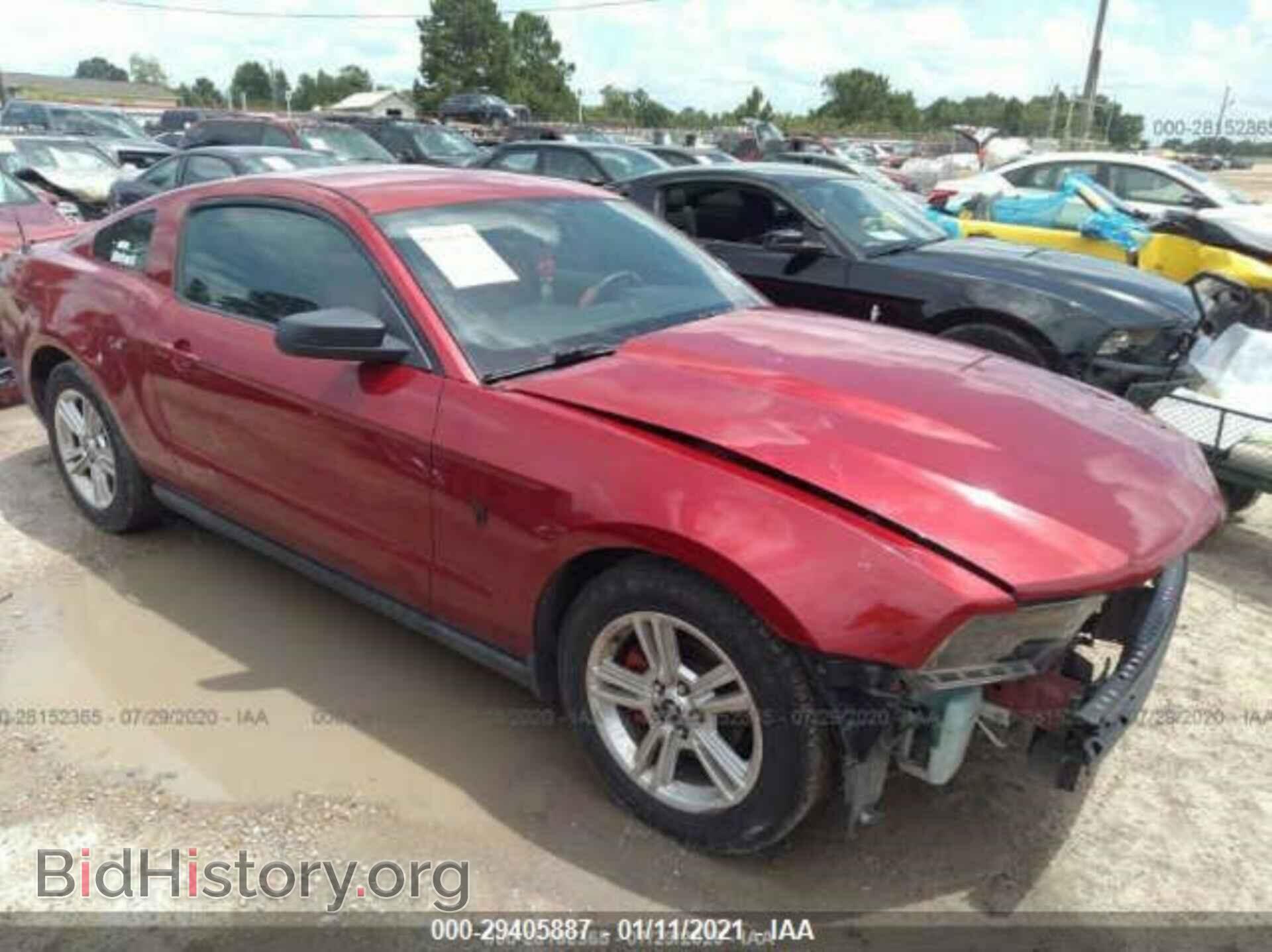 Фотография 1ZVBP8AN2A5106318 - FORD MUSTANG 2010