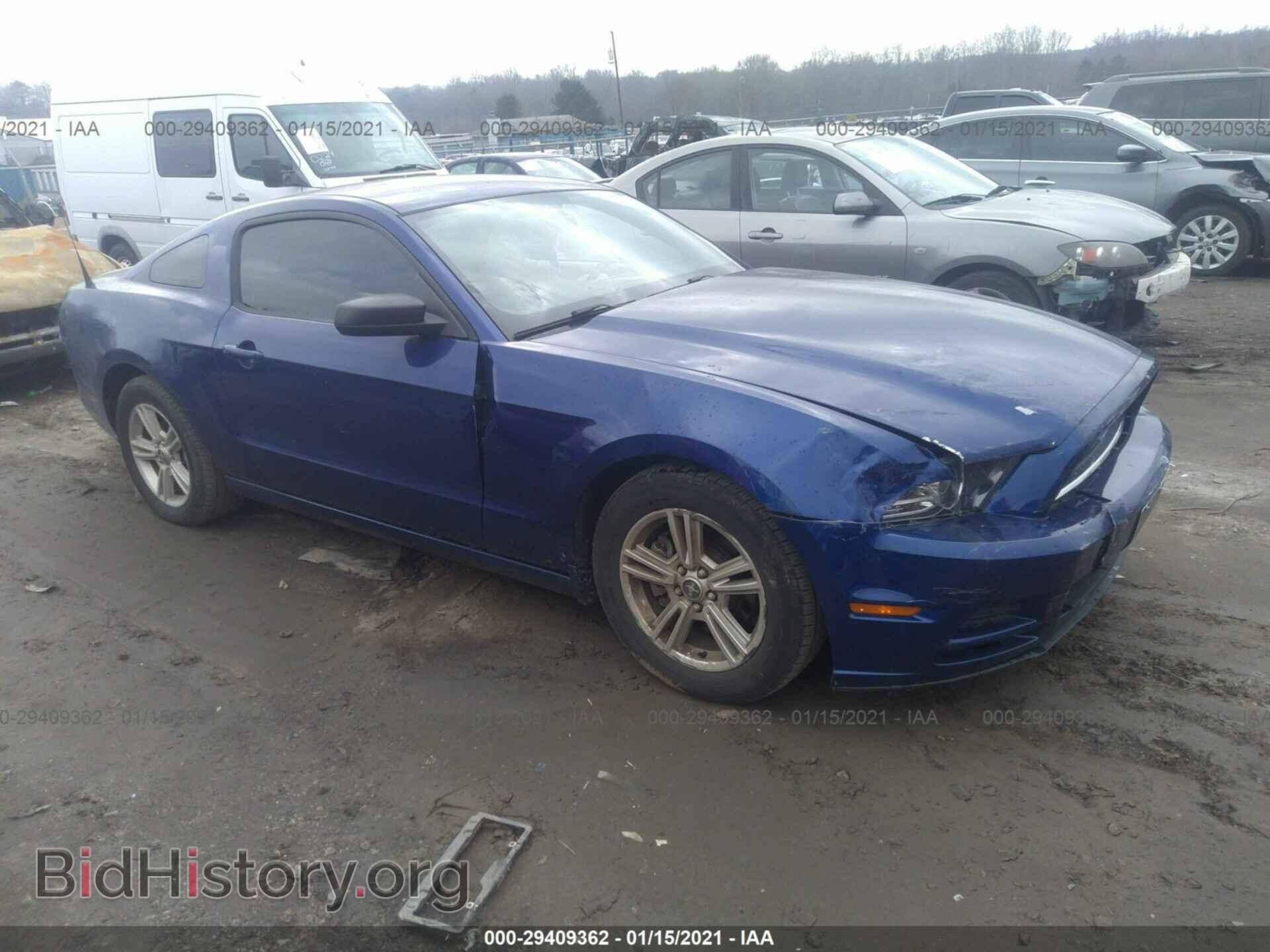 Photo 1ZVBP8AM5D5261912 - FORD MUSTANG 2013