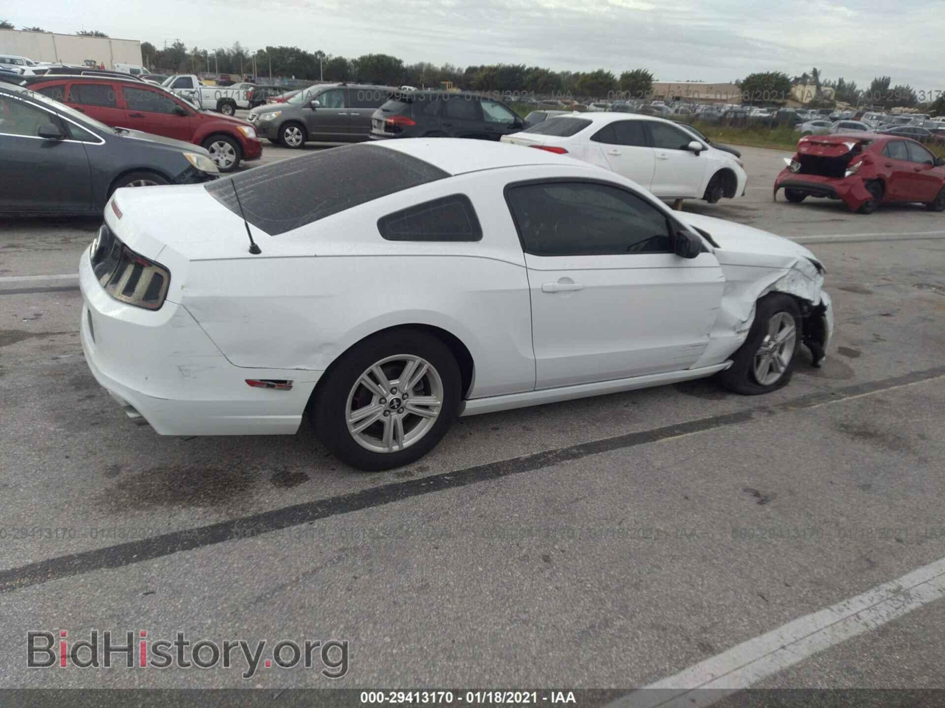 2014 FORD MUSTANG - VIN: 1ZVBP8AM7E5313865 - Фото 4