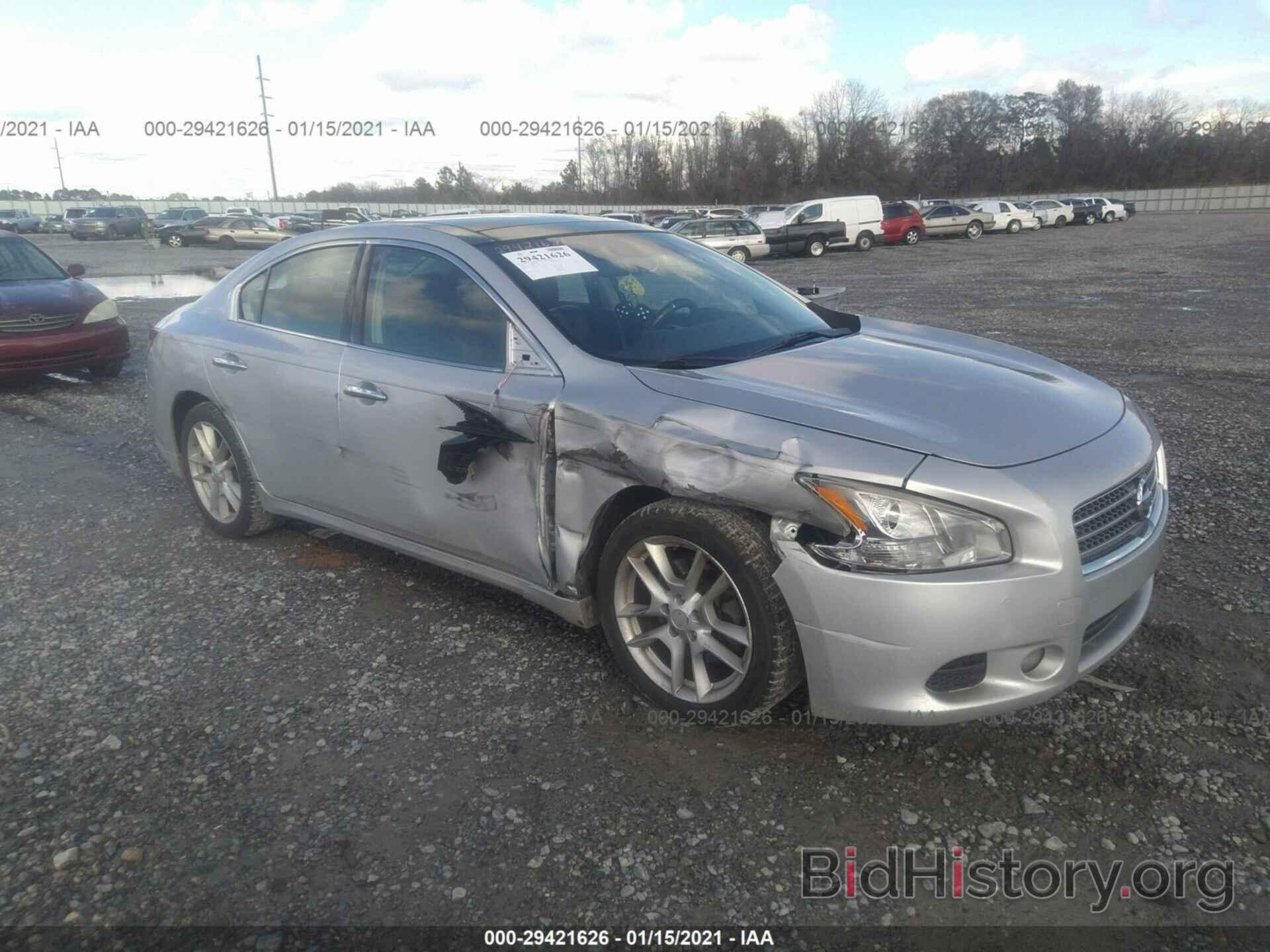 Photo 1N4AA5APXBC856150 - NISSAN MAXIMA 2011