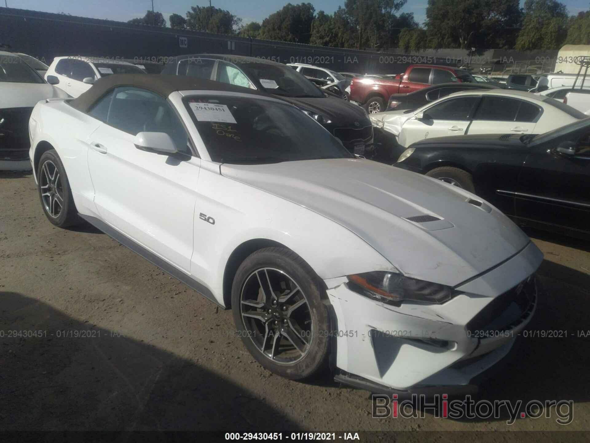 Photo 1FATP8FF3K5151784 - FORD MUSTANG 2019