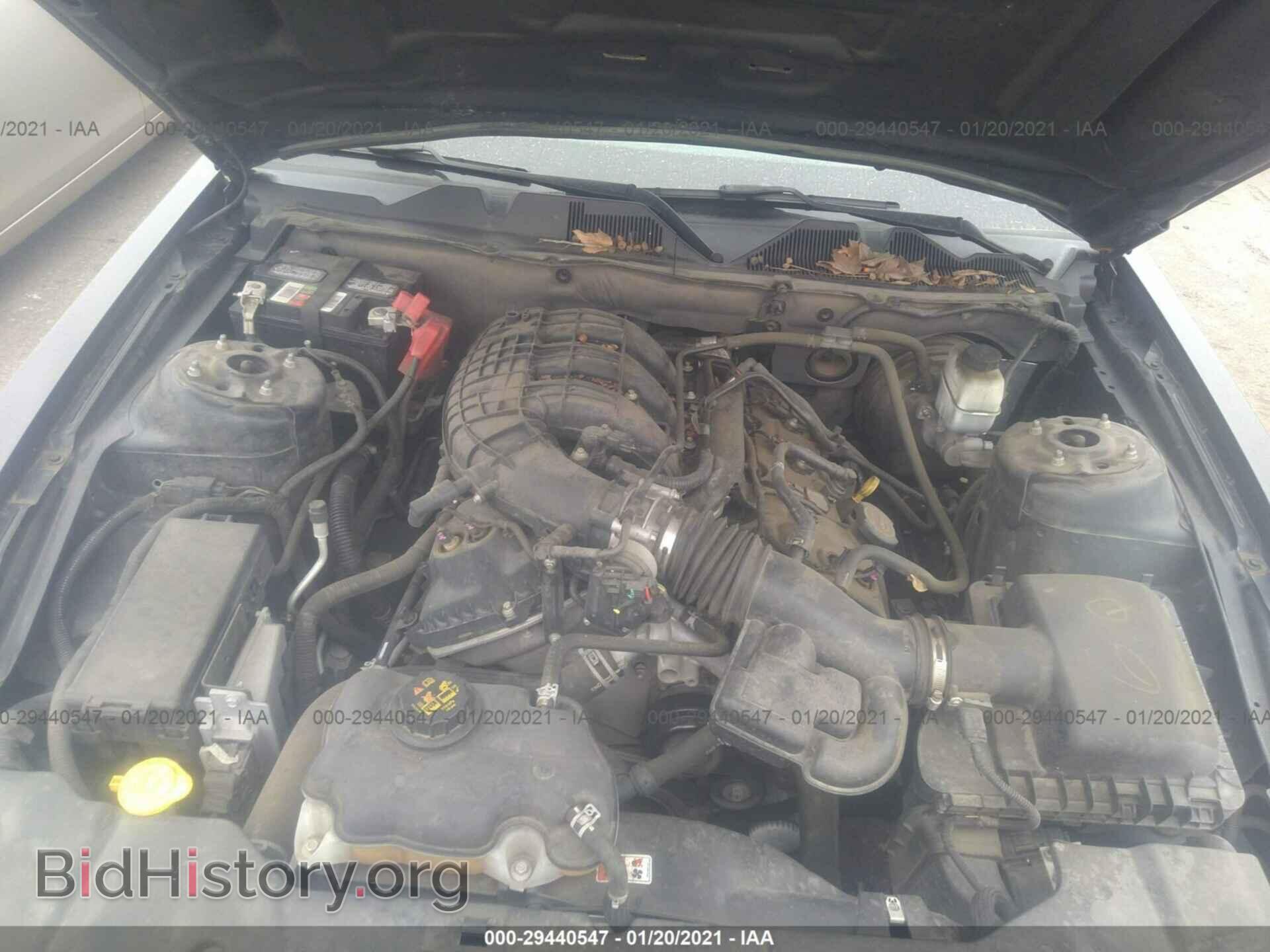 2014 FORD MUSTANG - VIN: 1ZVBP8AM2E5299051 - Фото 10
