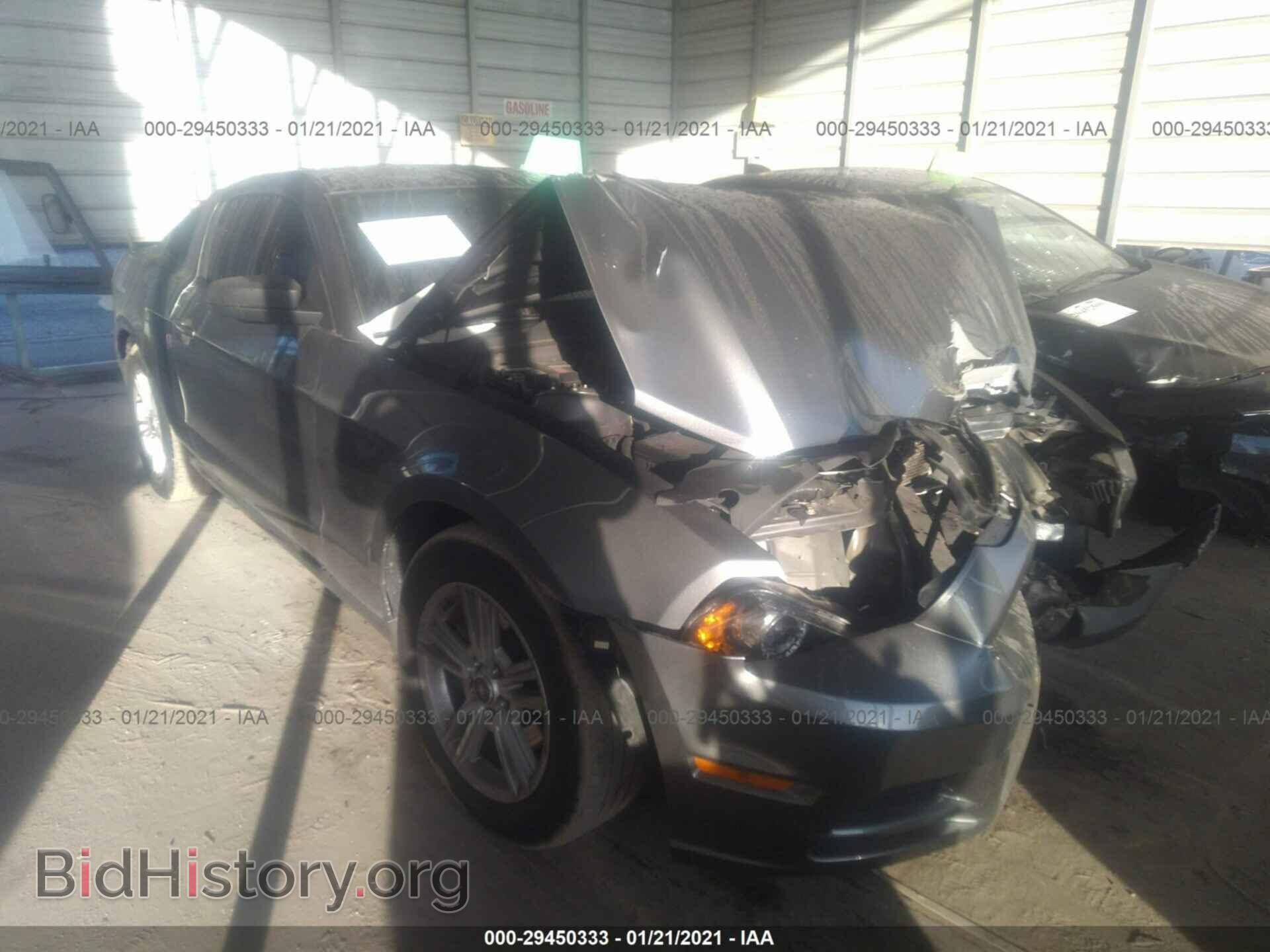 Photo 1ZVBP8AM2E5256233 - FORD MUSTANG 2014