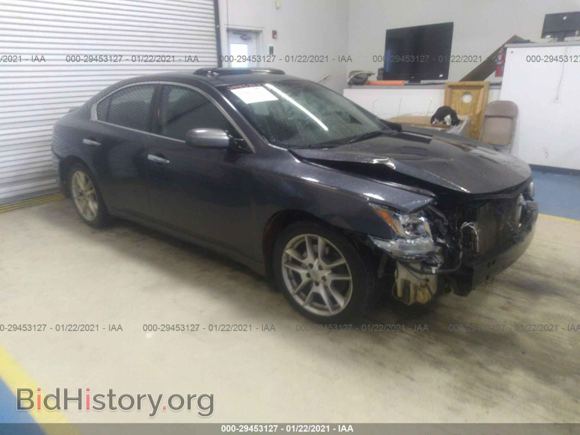 Photo 1N4AA5AP8AC857537 - NISSAN MAXIMA 2010