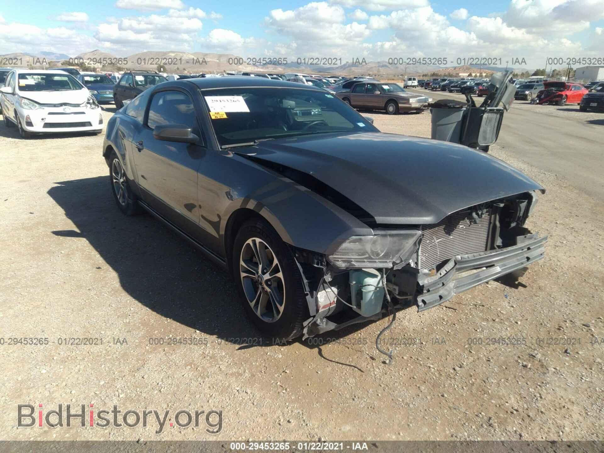 Photo 1ZVBP8AM5D5249596 - FORD MUSTANG 2013