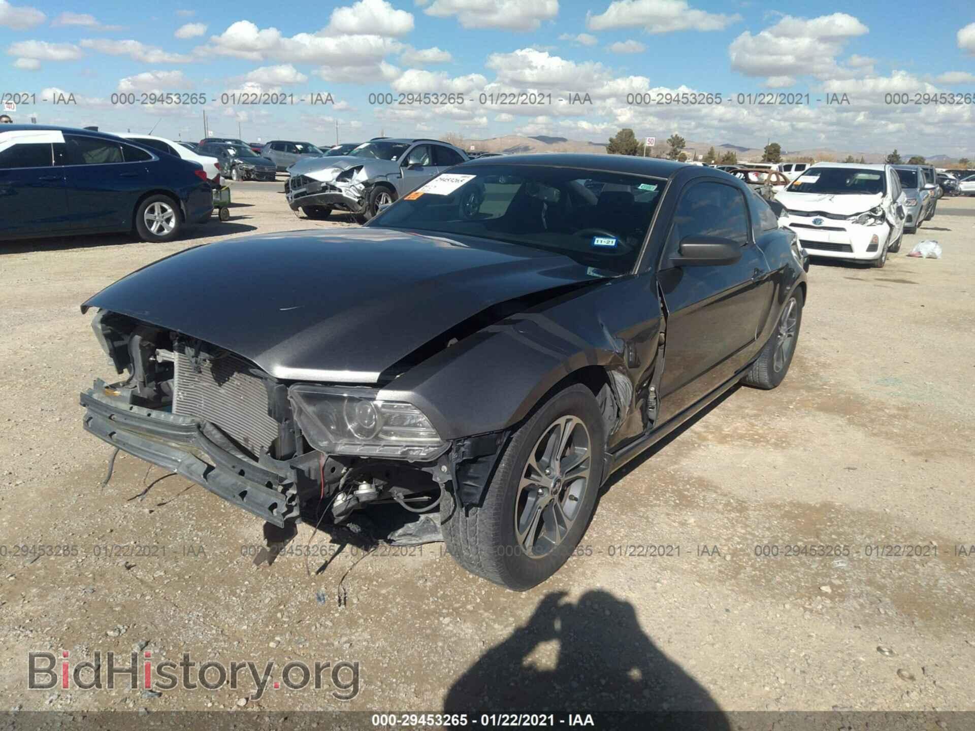 2013 FORD MUSTANG - VIN: 1ZVBP8AM5D5249596 - Фото 2