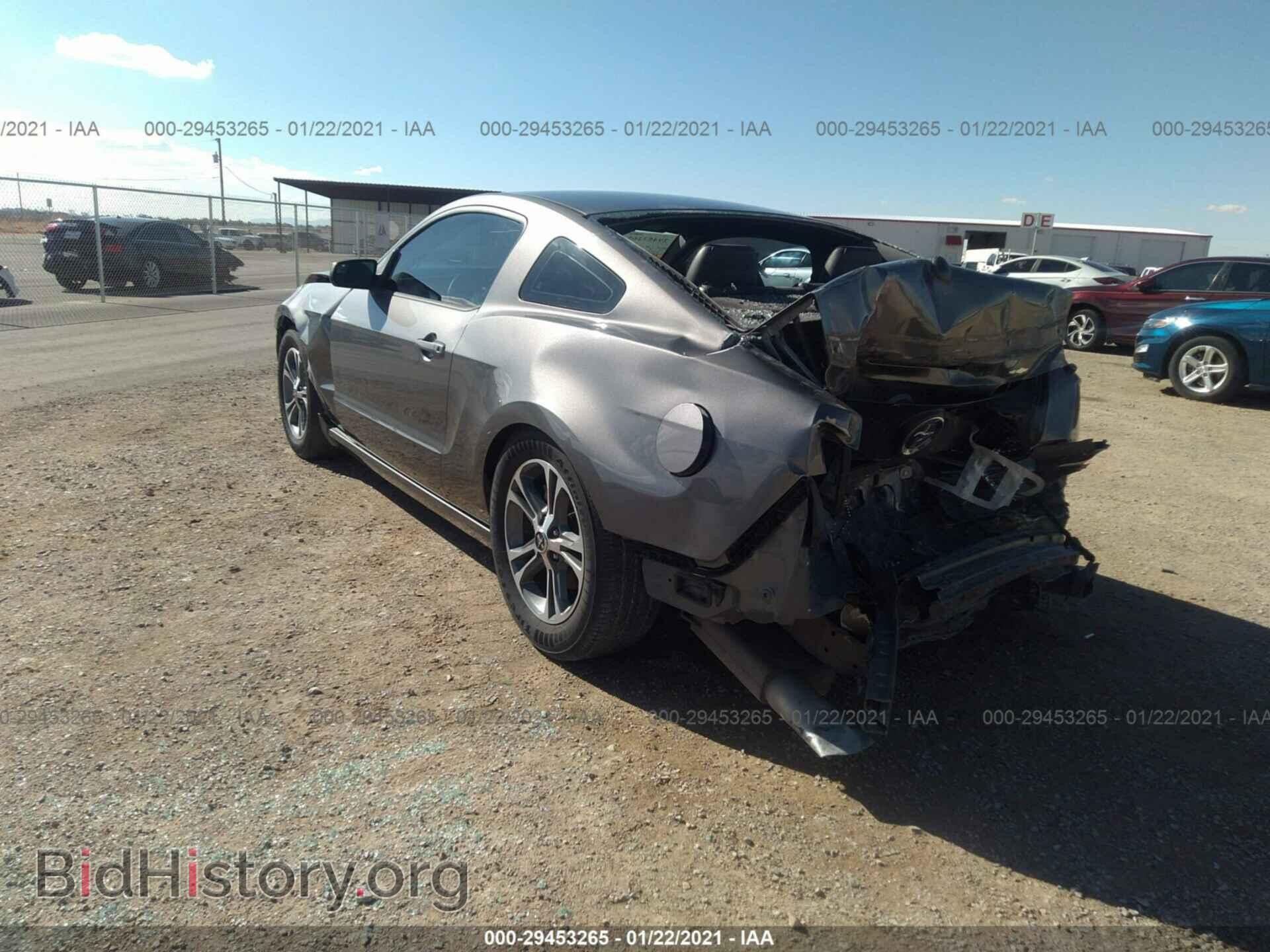 2013 FORD MUSTANG - VIN: 1ZVBP8AM5D5249596 - Фото 3