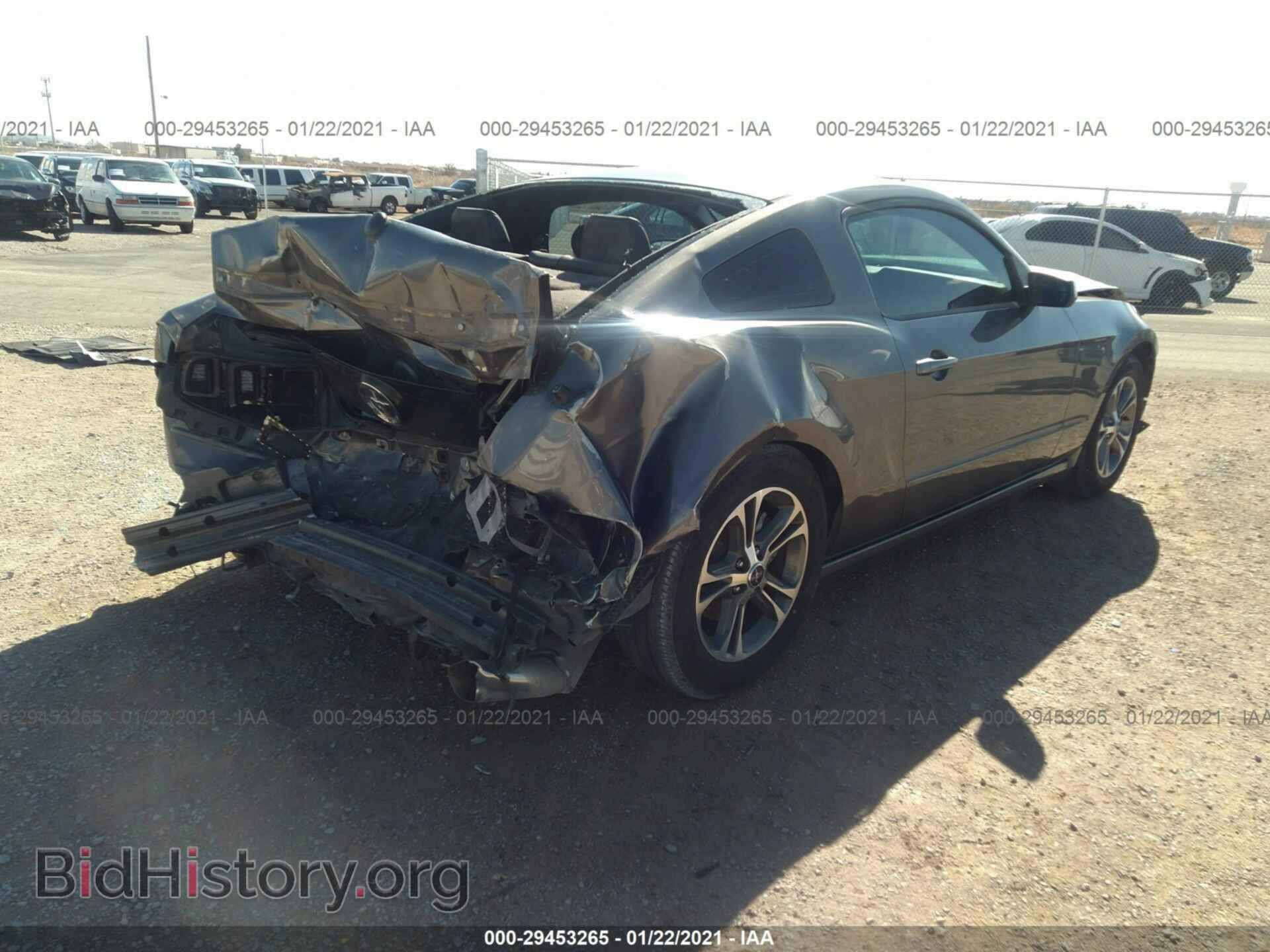 2013 FORD MUSTANG - VIN: 1ZVBP8AM5D5249596 - Фото 4