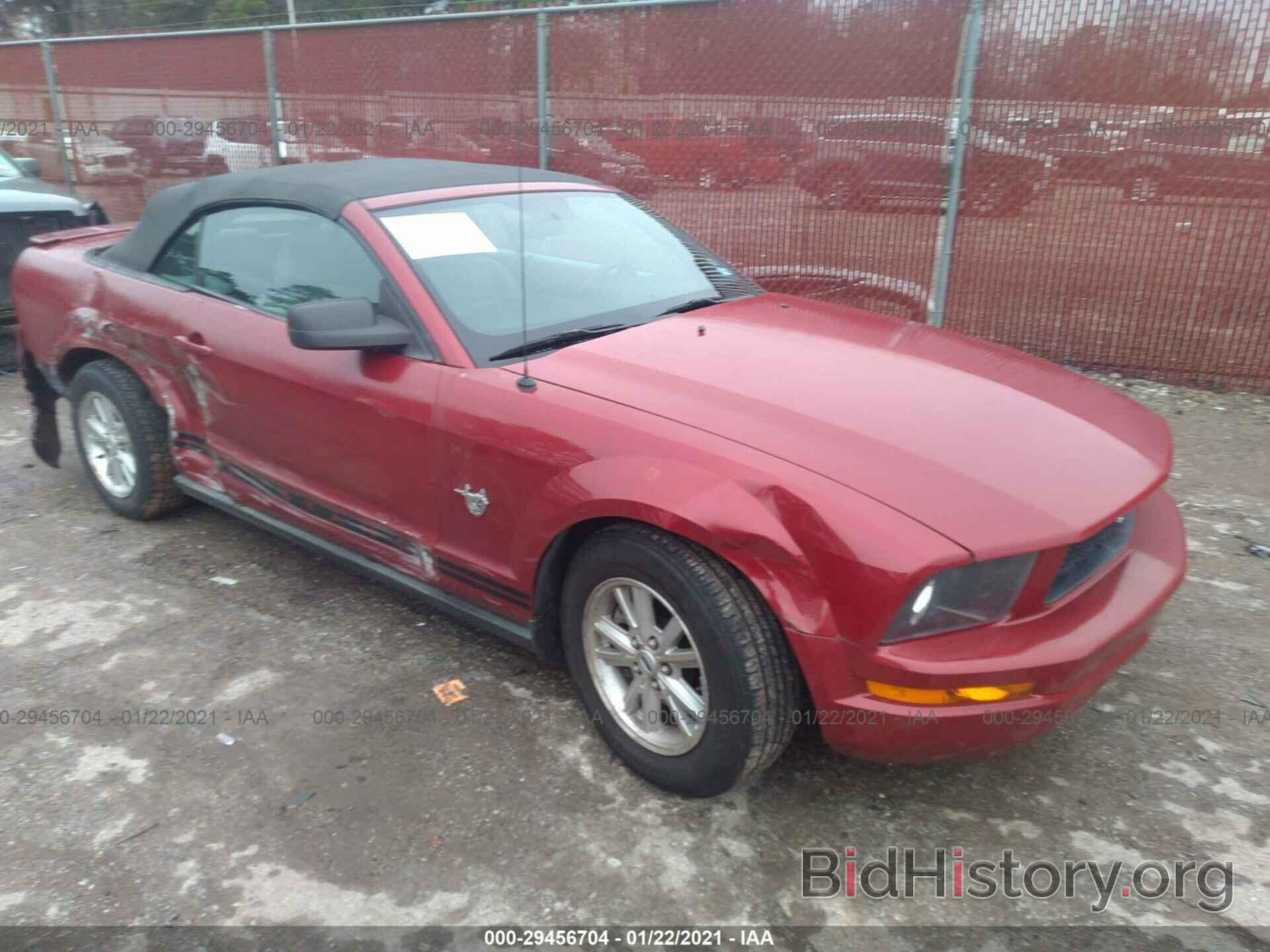 Photo 1ZVHT84N595125037 - FORD MUSTANG 2009