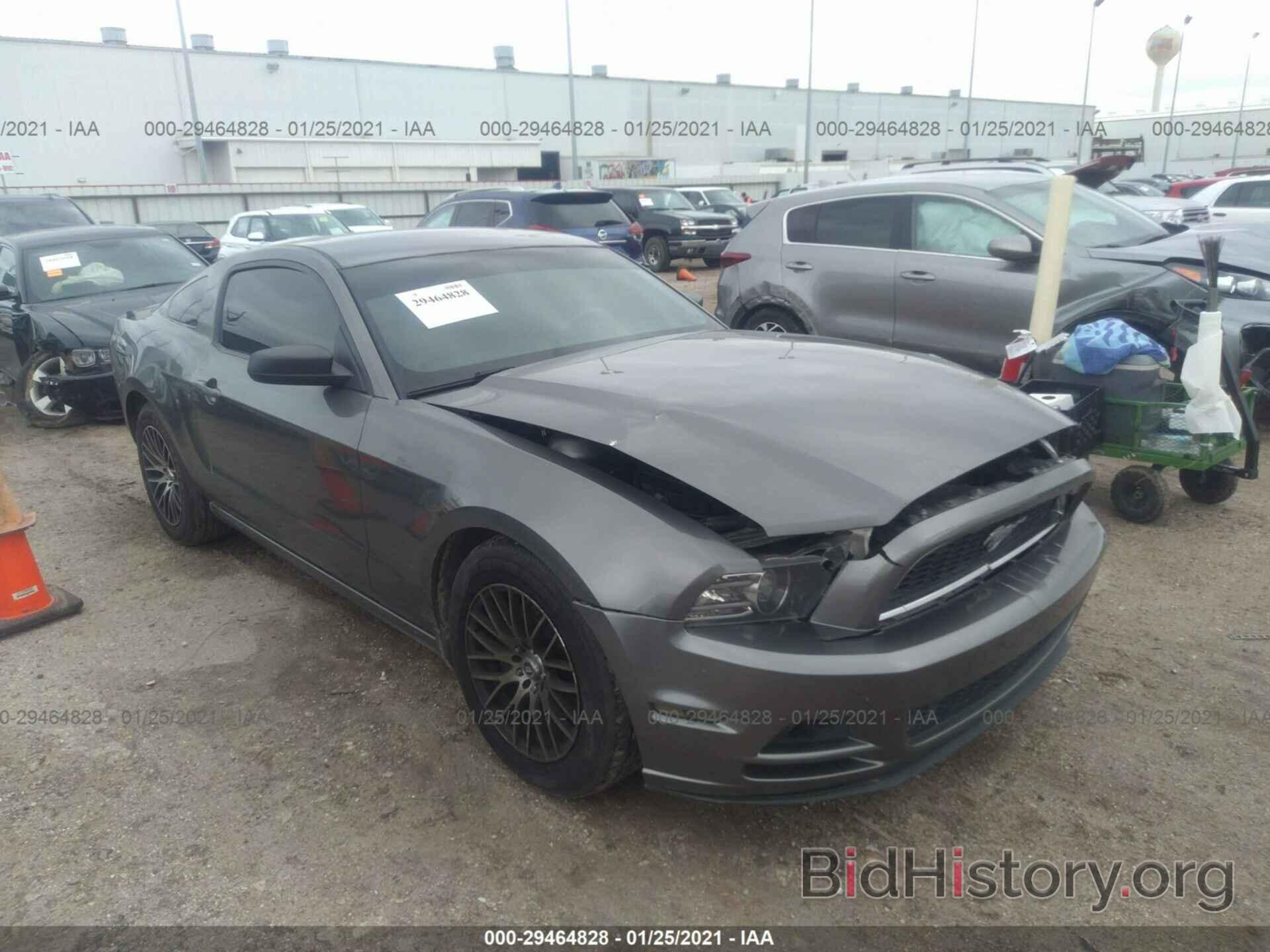 Photo 1ZVBP8AM1E5330547 - FORD MUSTANG 2014