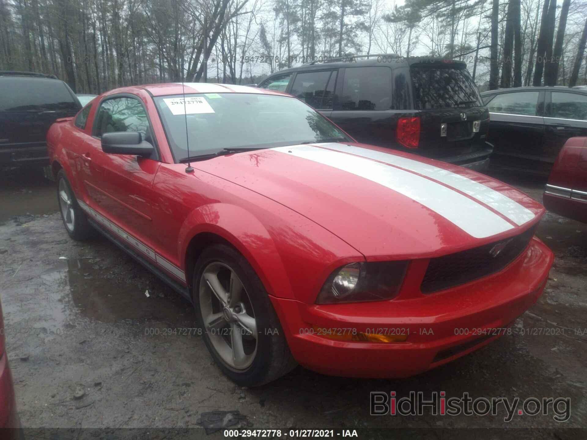 Photo 1ZVHT80NX85207141 - FORD MUSTANG 2008