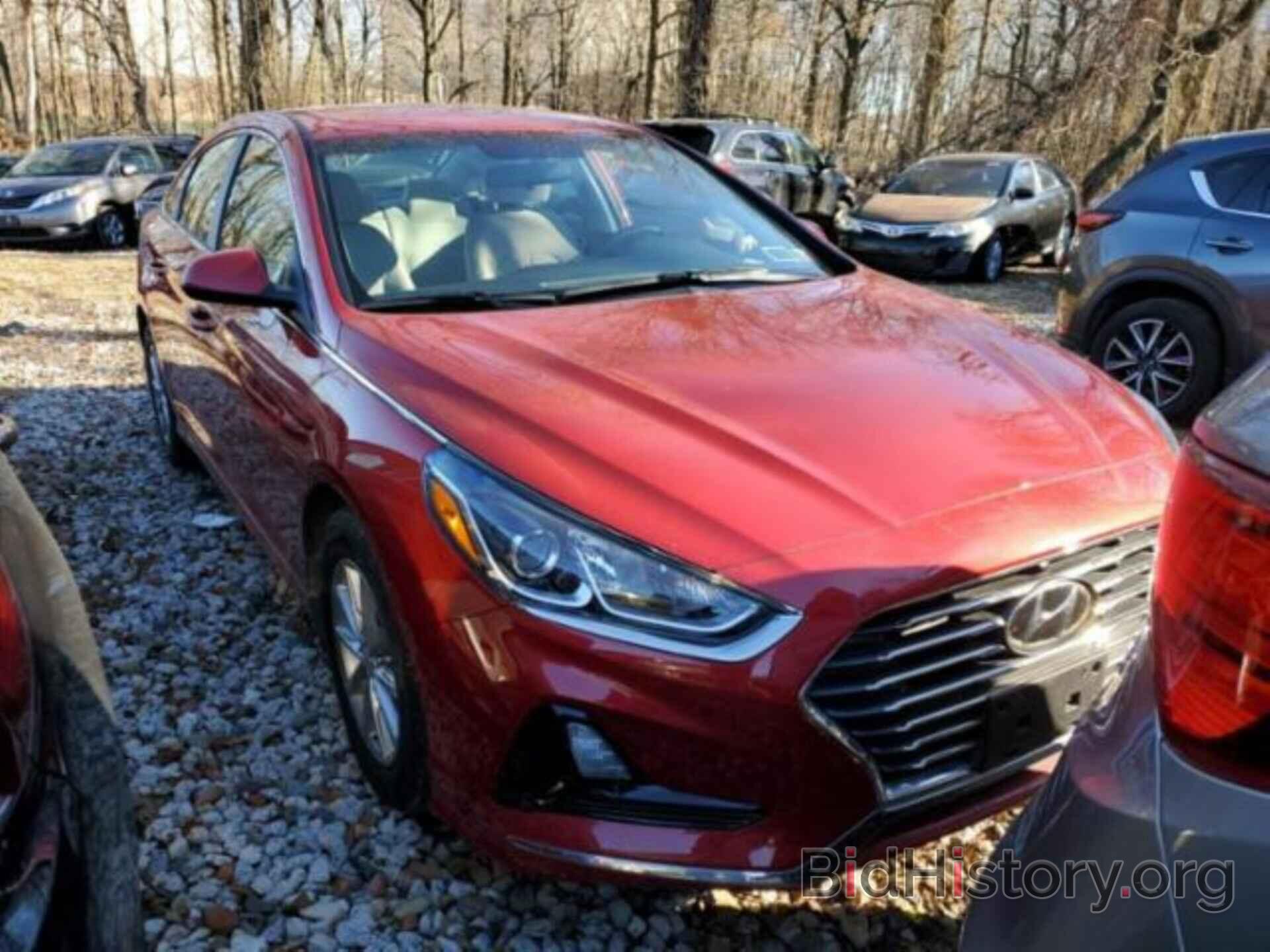 Фотография 5NPE24AF7KH794897 - HYUNDAI SONATA 2019