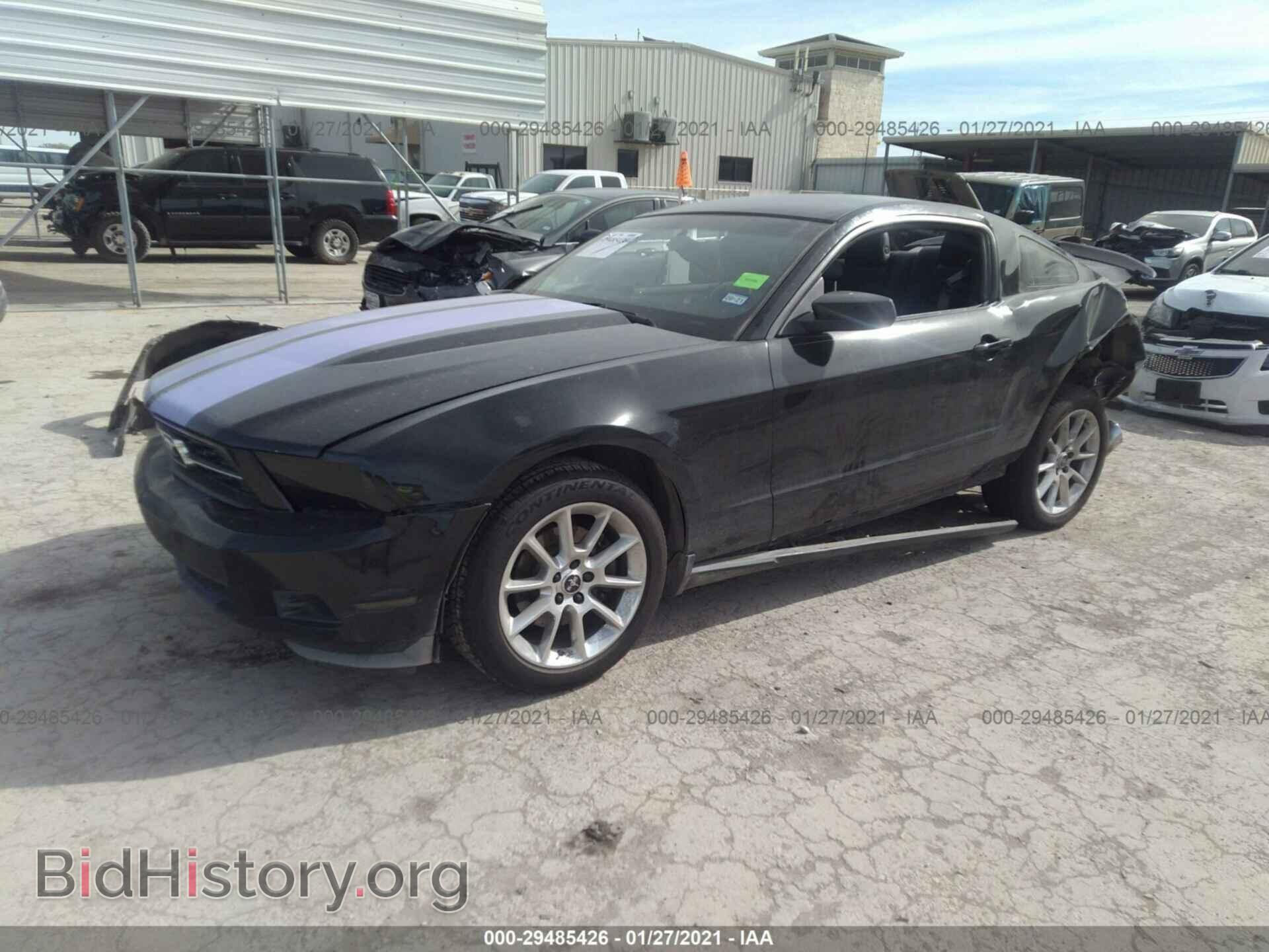 2011 FORD MUSTANG - VIN: 1ZVBP8AM6B5117329 - Фото 2