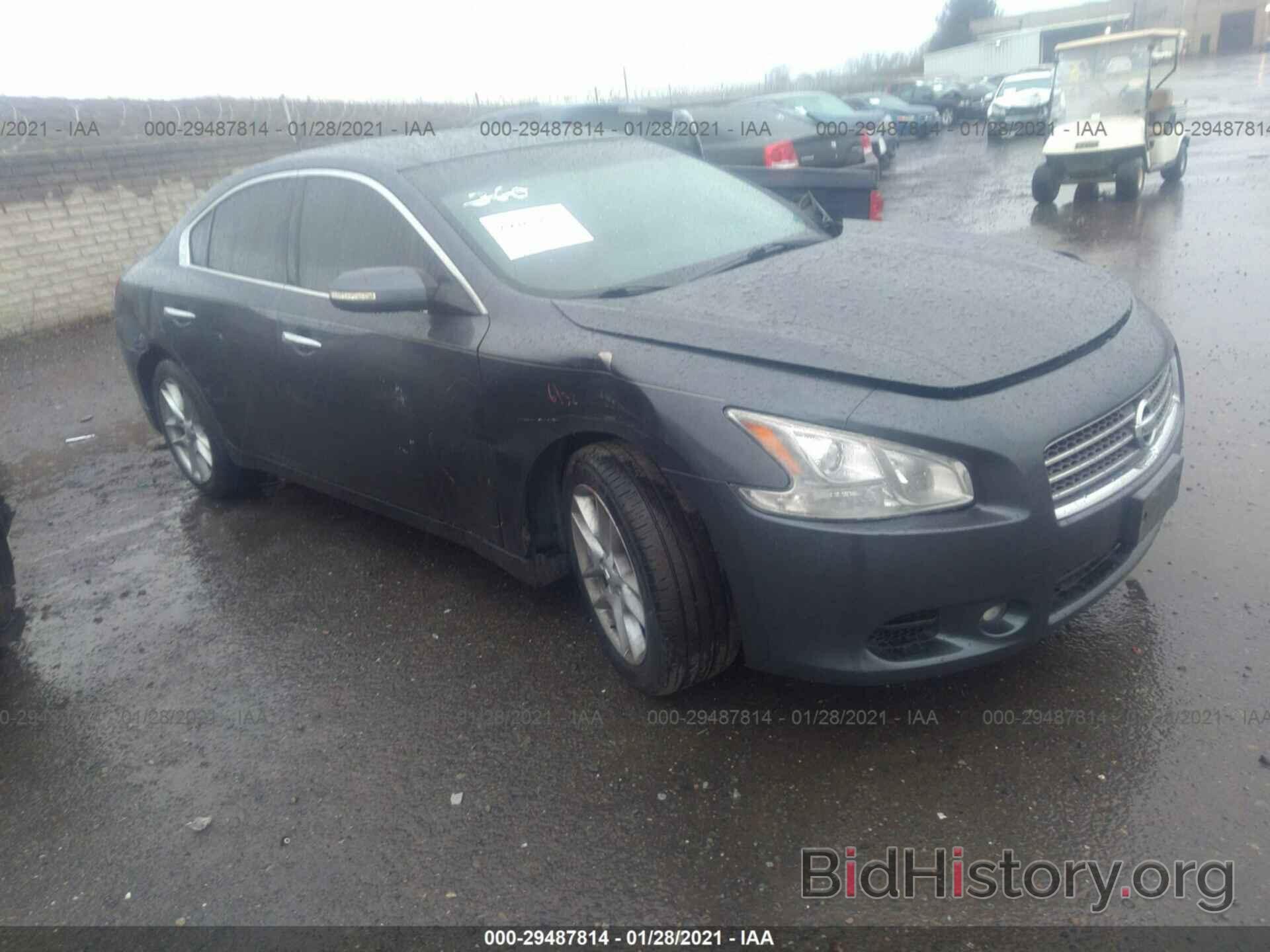 Photo 1N4AA51E79C857135 - NISSAN MAXIMA 2009