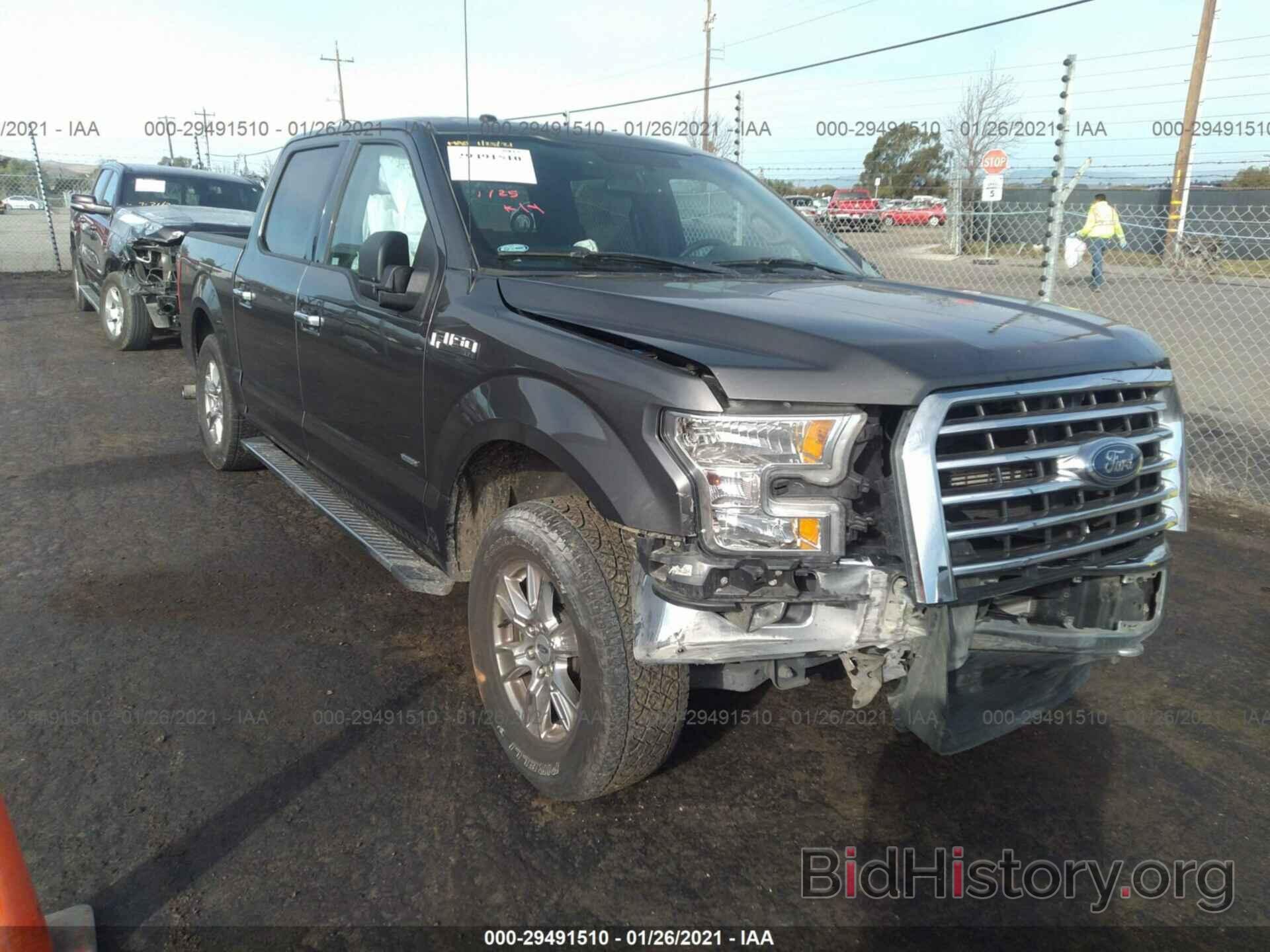 Photo 1FTEW1EP1FKE17754 - FORD F-150 2015