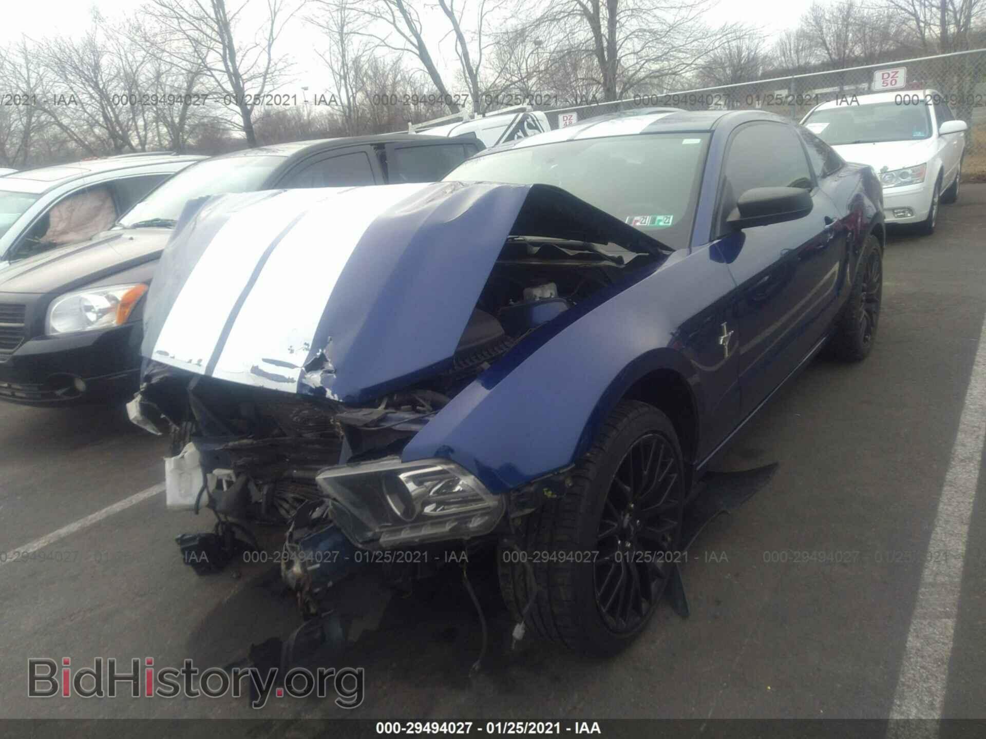 2013 FORD MUSTANG - VIN: 1ZVBP8AM0D5254091 - Фото 2