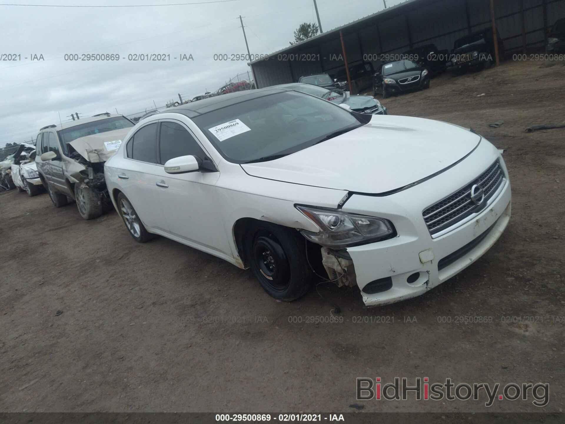 Photo 1N4AA5AP4AC818458 - NISSAN MAXIMA 2010