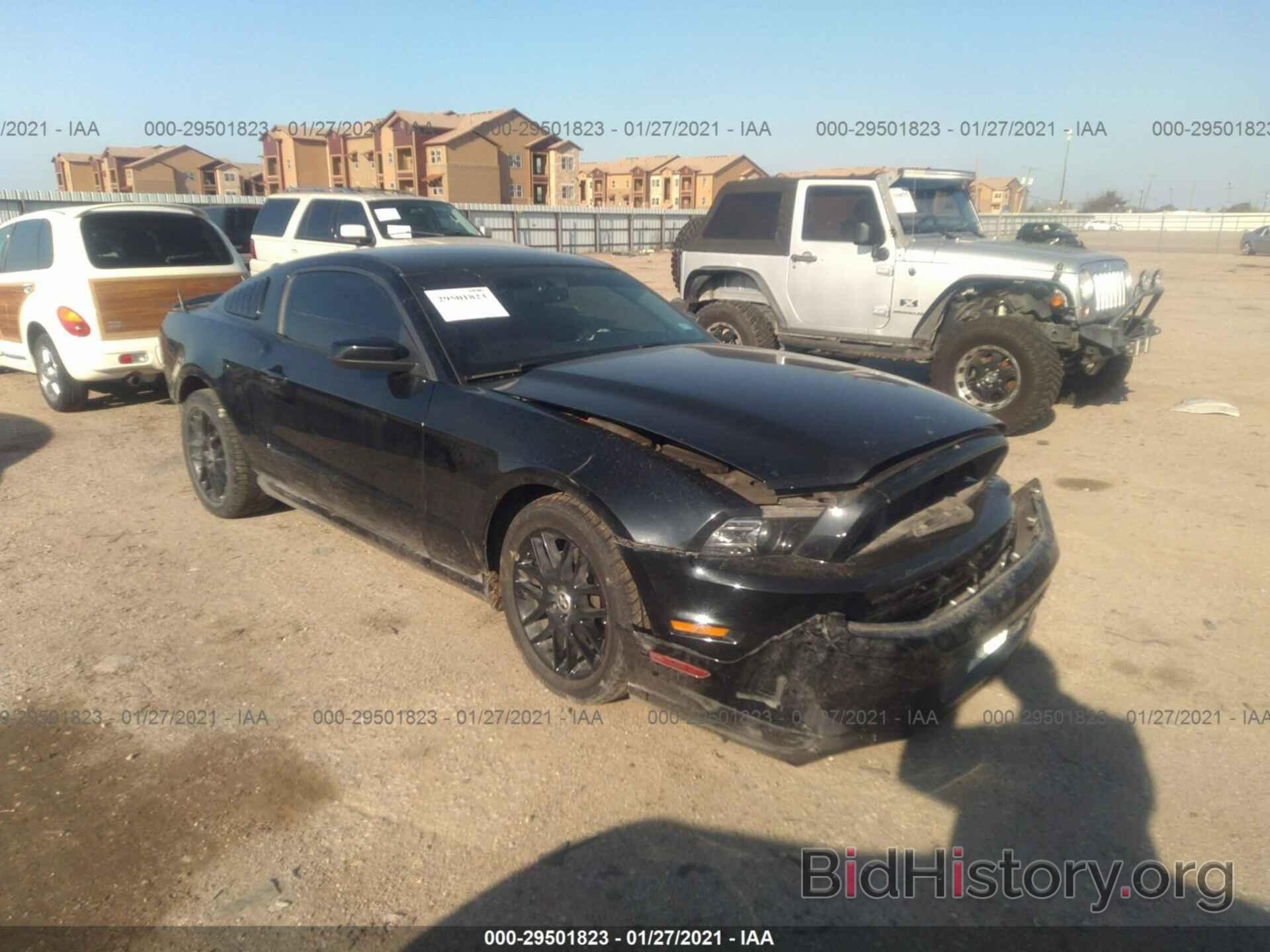 Photo 1ZVBP8AM3E5298782 - FORD MUSTANG 2014