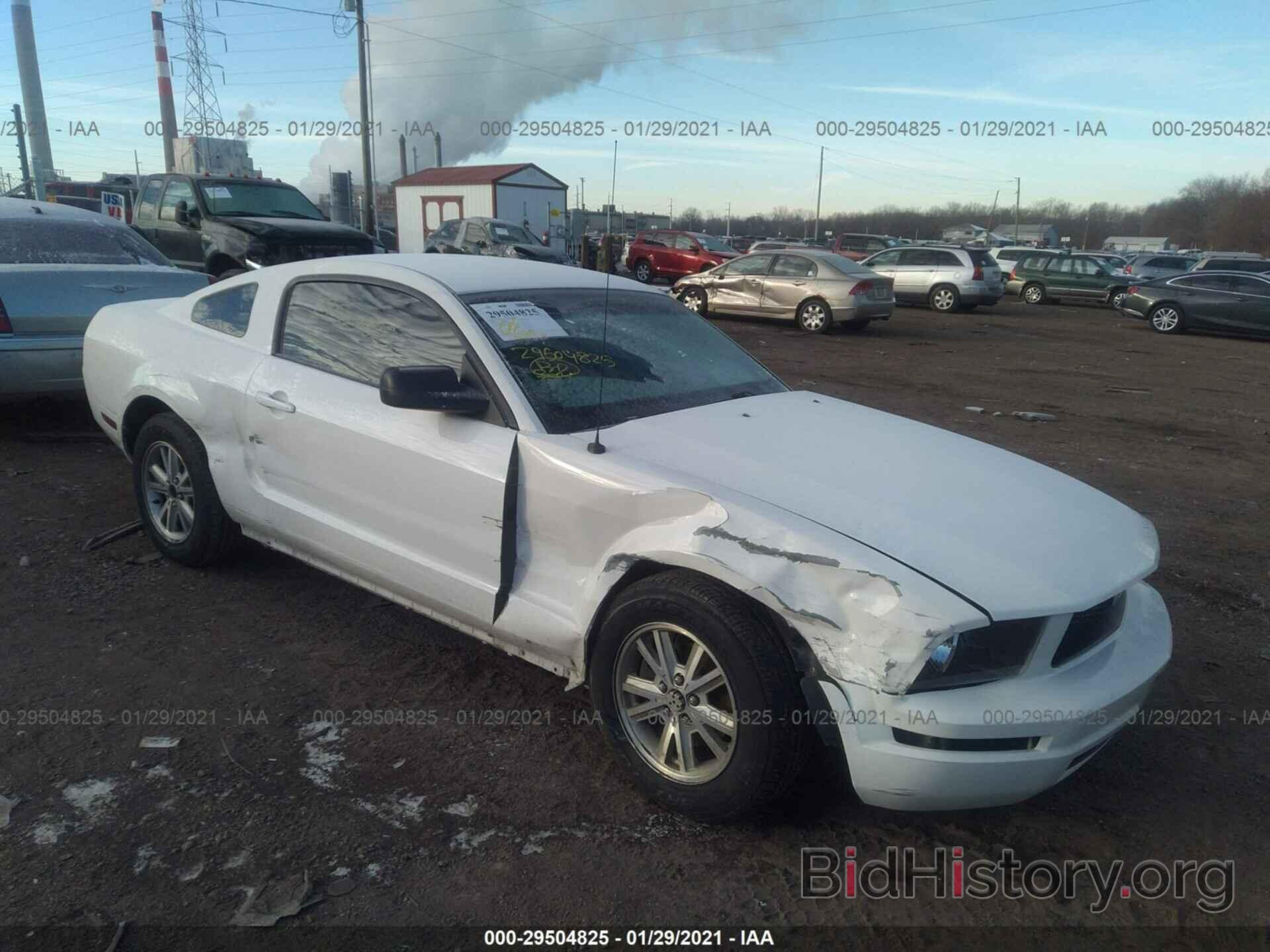 Photo 1ZVFT80N765150787 - FORD MUSTANG 2006