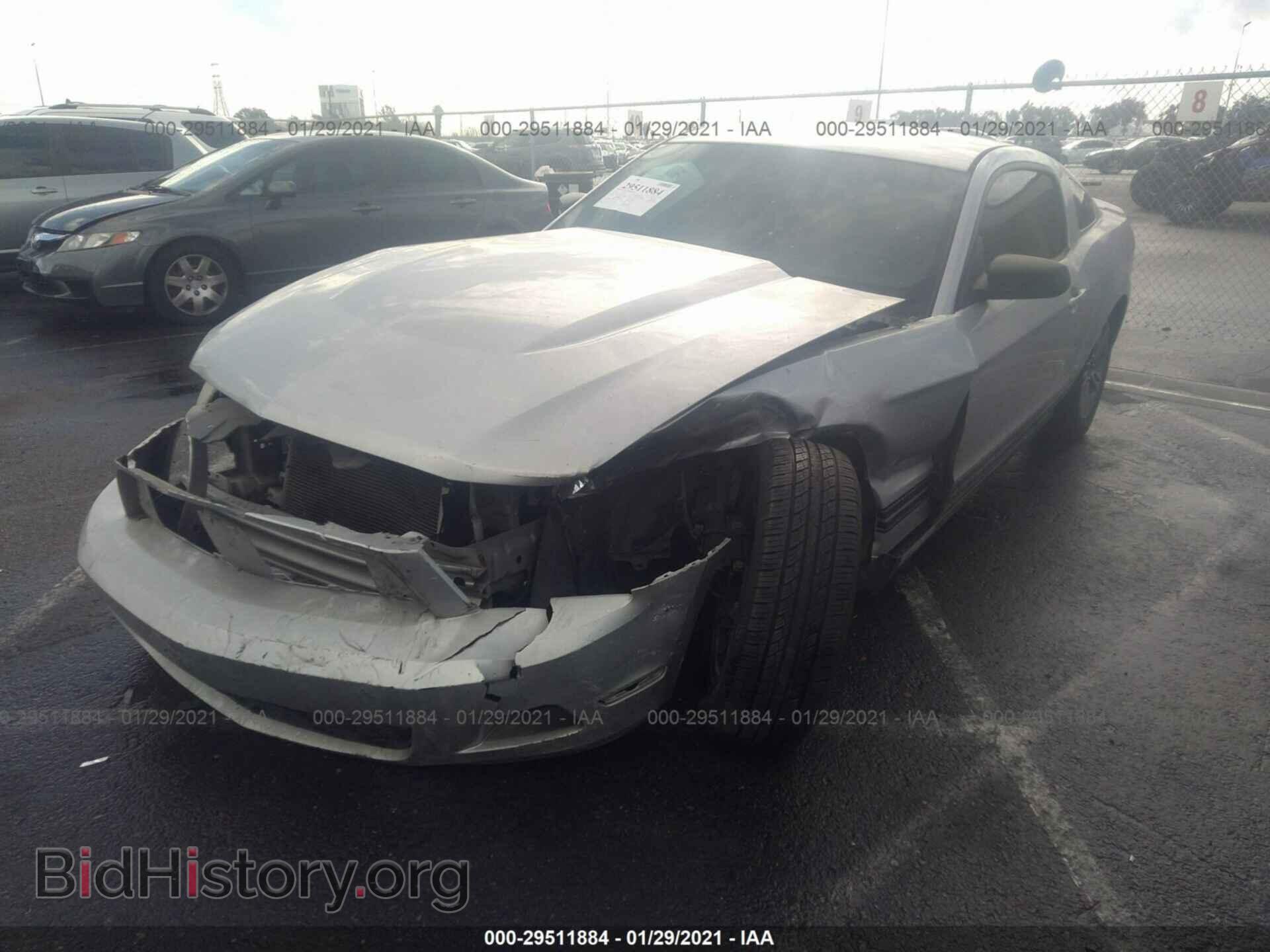 2012 FORD MUSTANG - VIN: 1ZVBP8AM1C5253014 - Фото 2