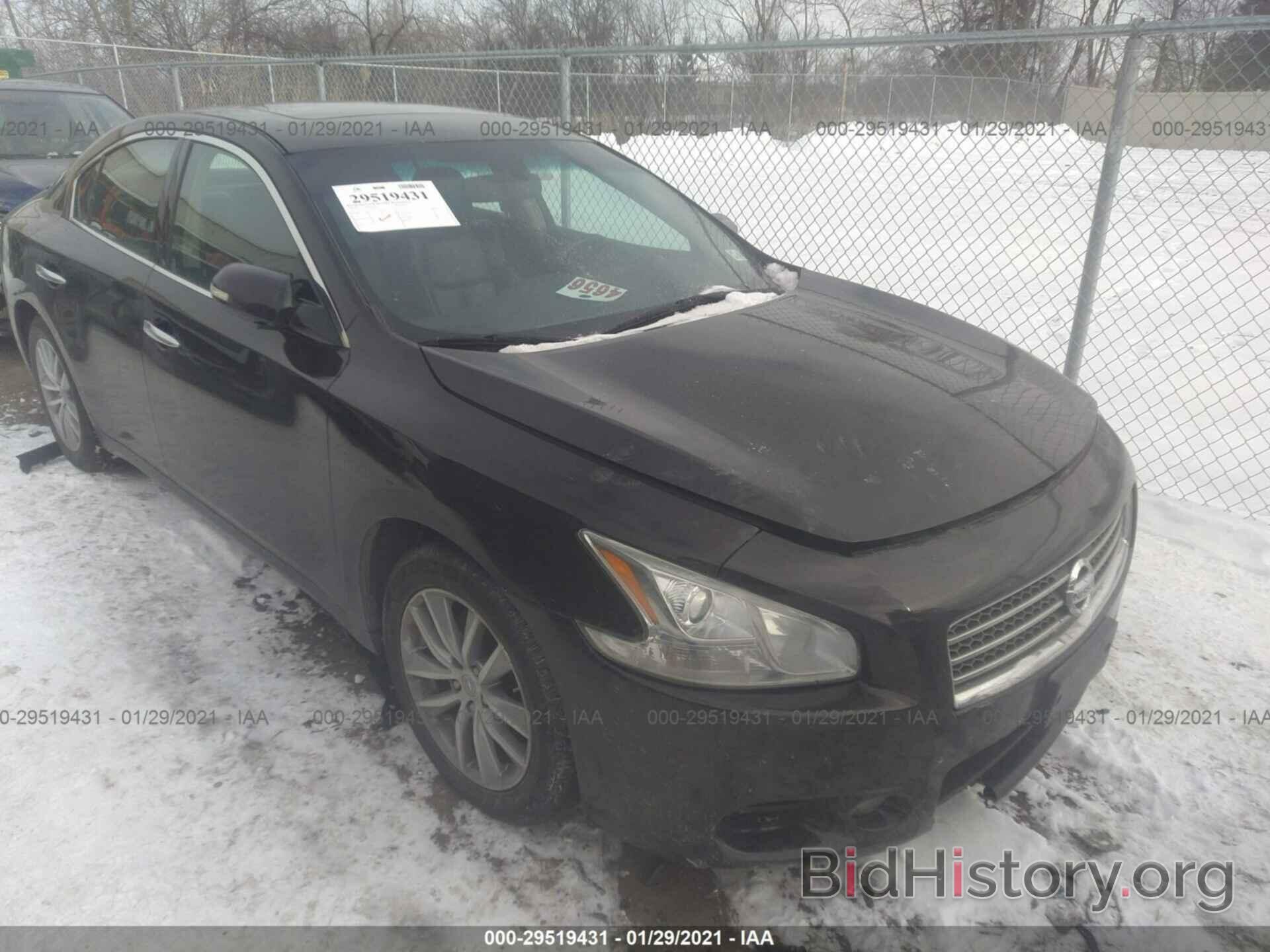 Photo 1N4AA5AP0AC800524 - NISSAN MAXIMA 2010