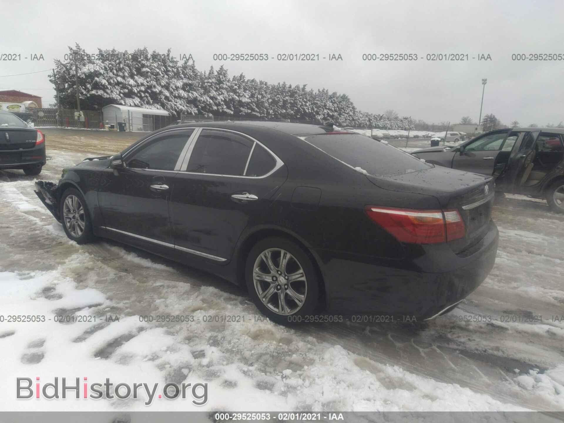 2011 LEXUS LS 460 - VIN: JTHCL5EF2B5010404 - Photo 3