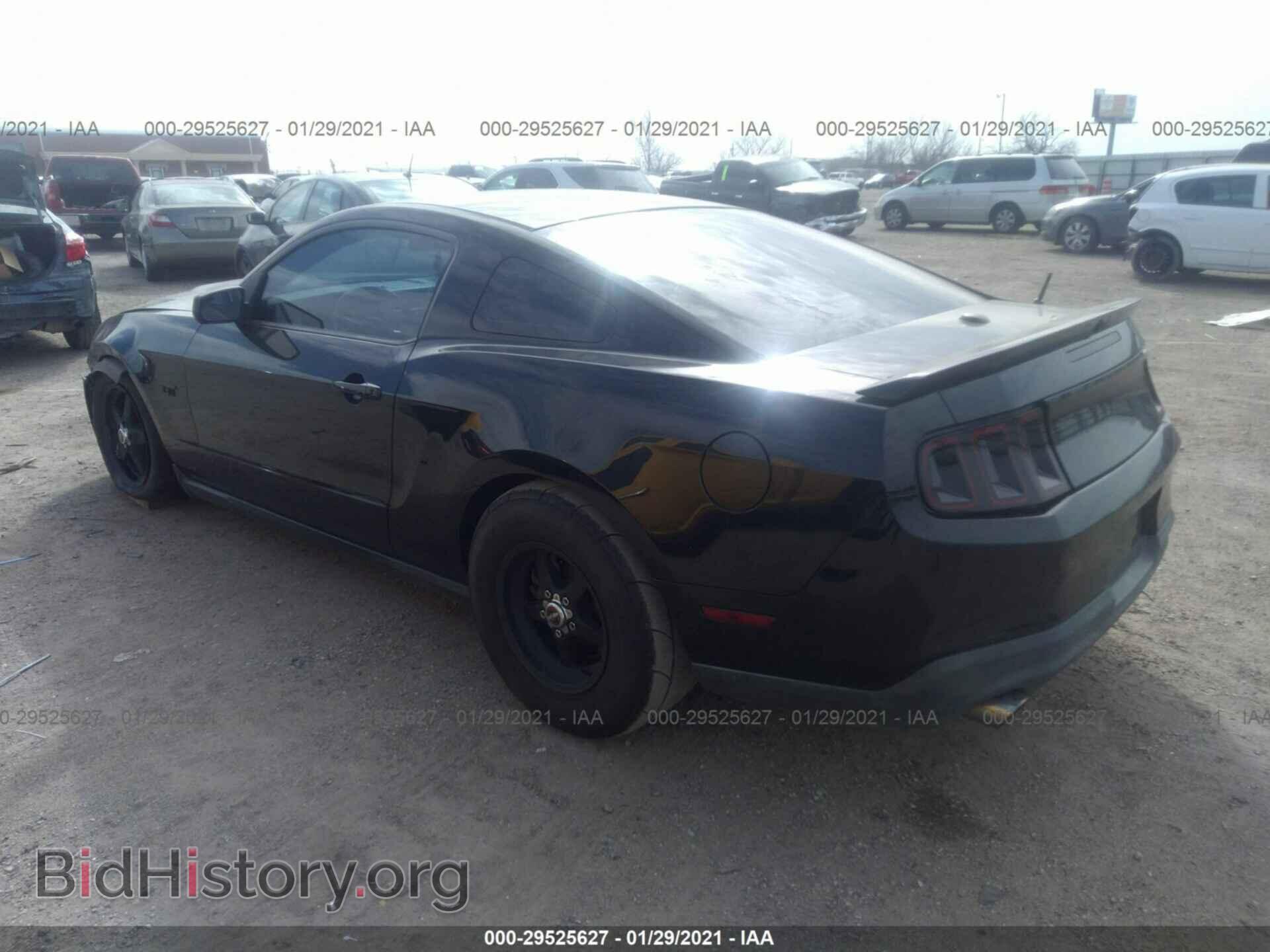 2010 FORD MUSTANG - VIN: 1ZVBP8CH1A5144761 - Фото 3