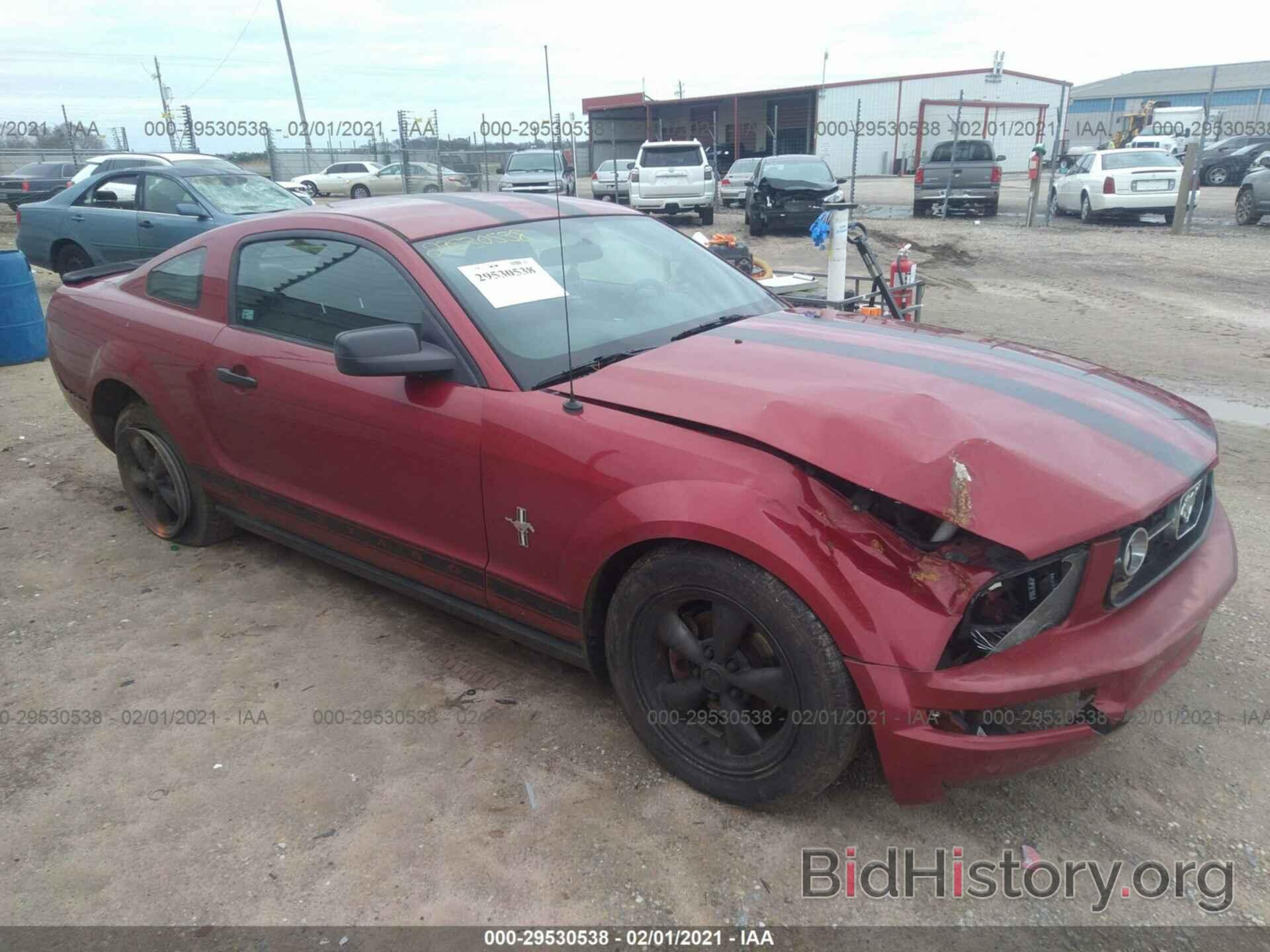 Photo 1ZVHT80NX85129413 - FORD MUSTANG 2008