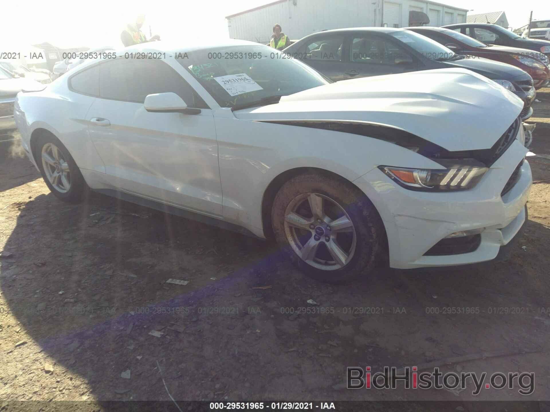 Photo 1FA6P8AM7H5301195 - FORD MUSTANG 2017