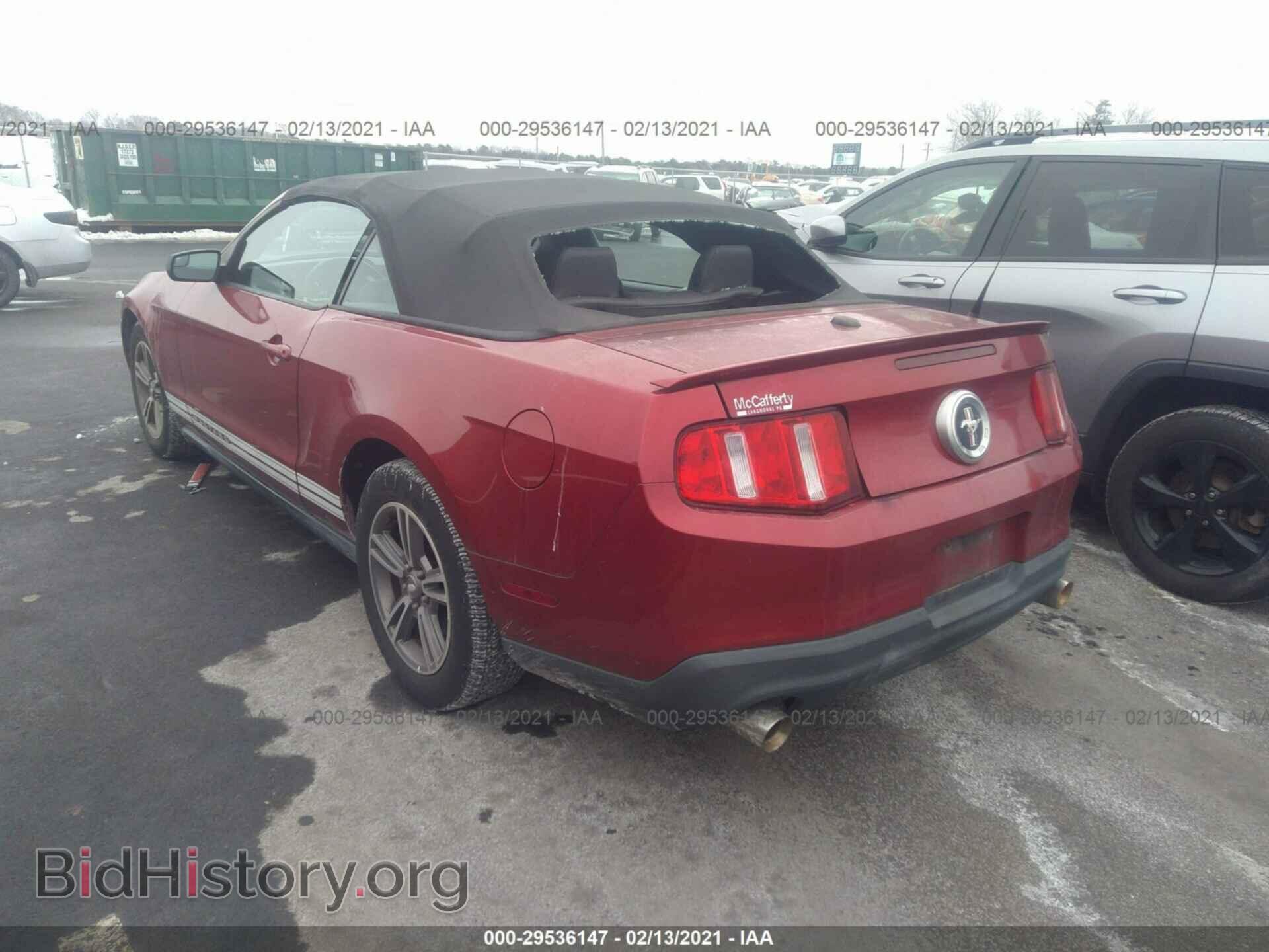 2011 FORD MUSTANG - VIN: 1ZVBP8EM0B5105249 - Фото 3