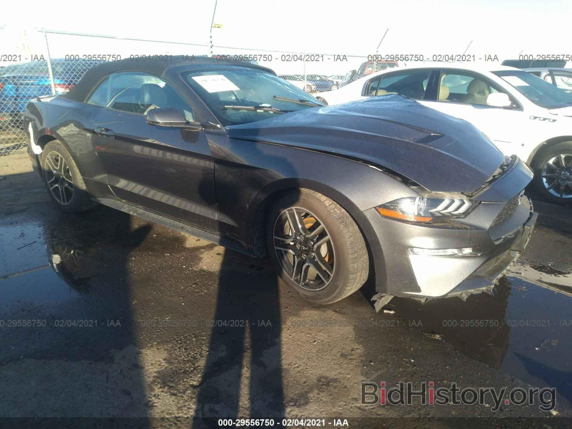 Photo 1FATP8UH0K5162407 - FORD MUSTANG 2019
