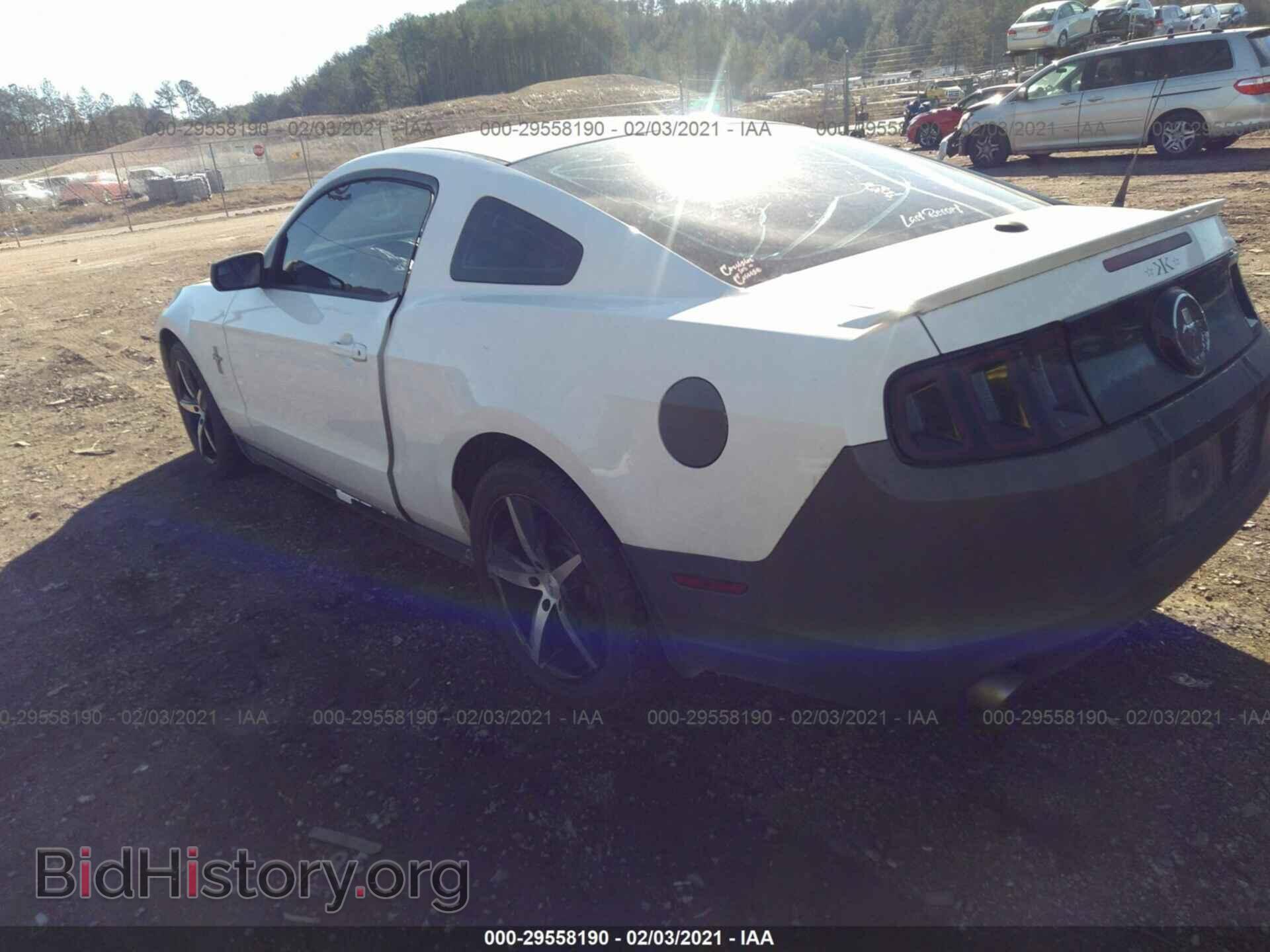 2013 FORD MUSTANG - VIN: 1ZVBP8AM3D5270561 - Фото 3