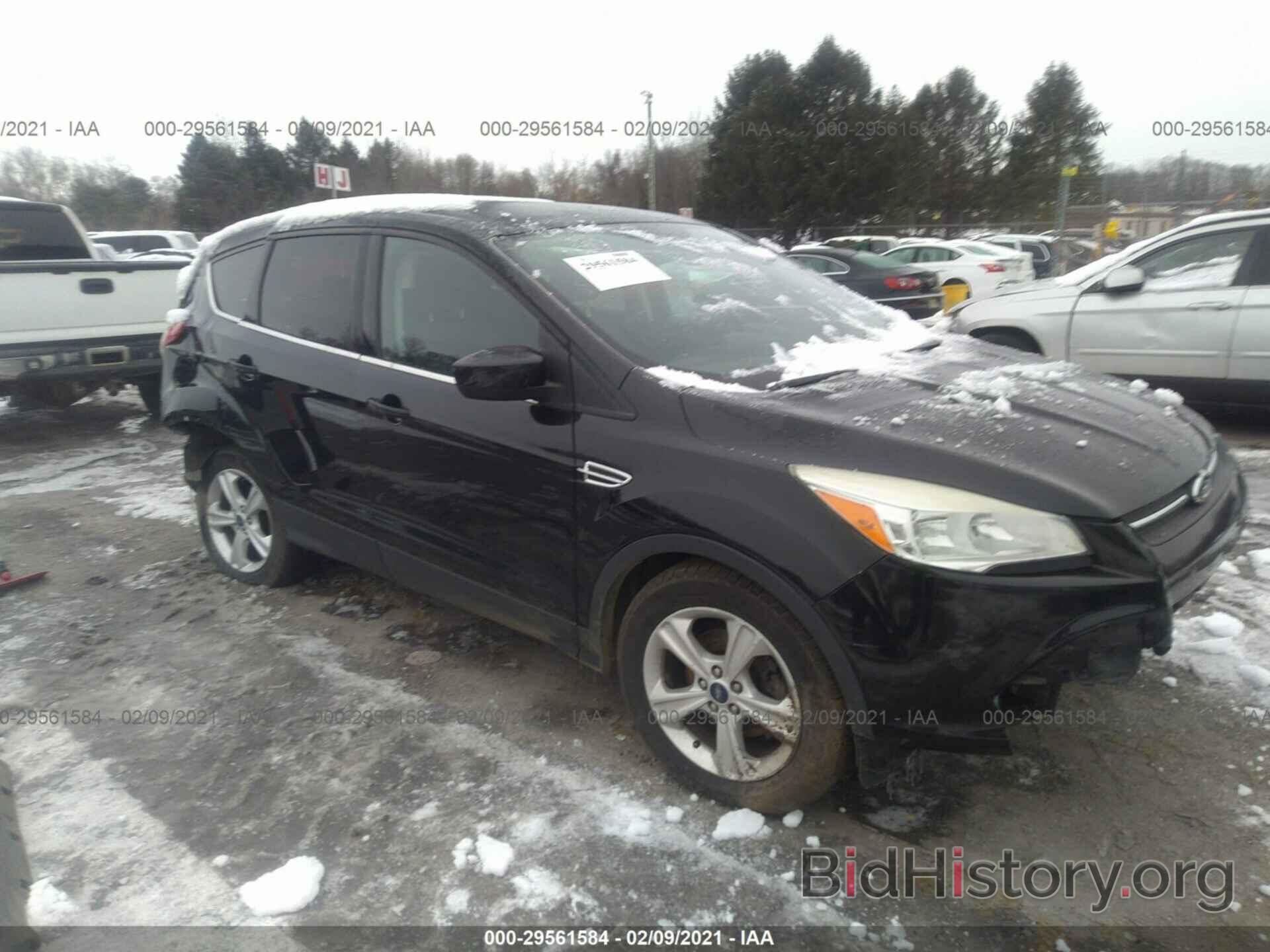 Photo 1FMCU0GX4DUB16851 - FORD ESCAPE 2013