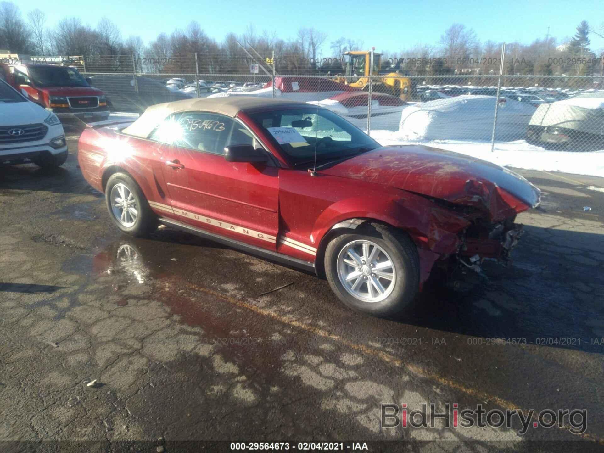 Photo 1ZVHT84N185206907 - FORD MUSTANG 2008