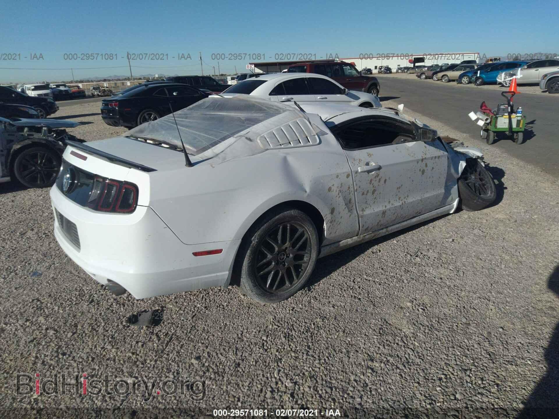 2014 FORD MUSTANG - VIN: 1ZVBP8AM1E5306233 - Фото 3