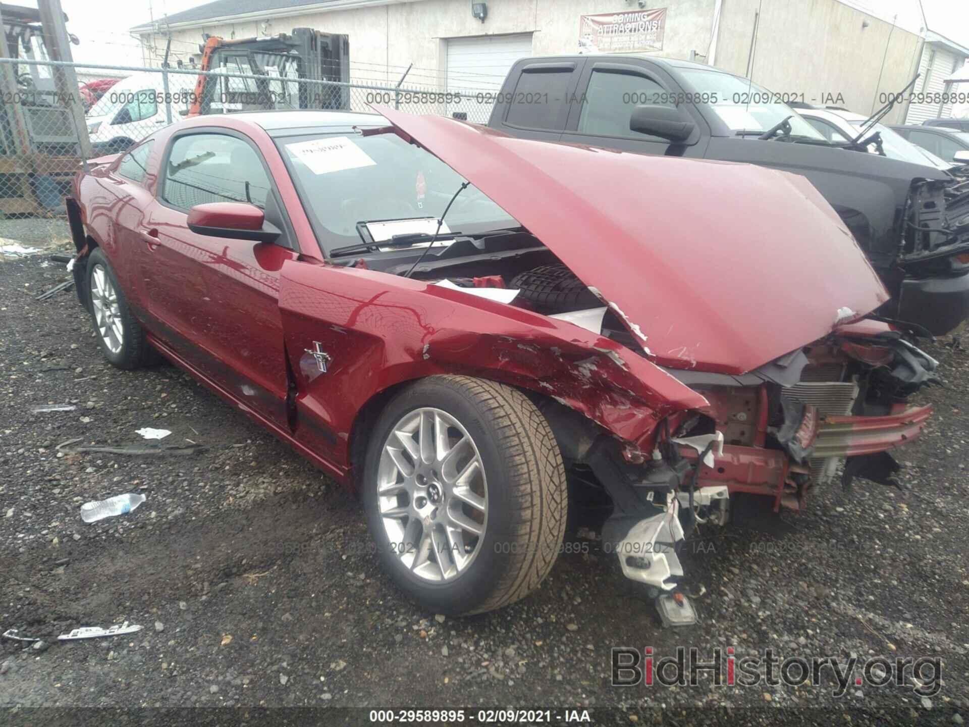 Photo 1ZVBP8AM1E5246244 - FORD MUSTANG 2014