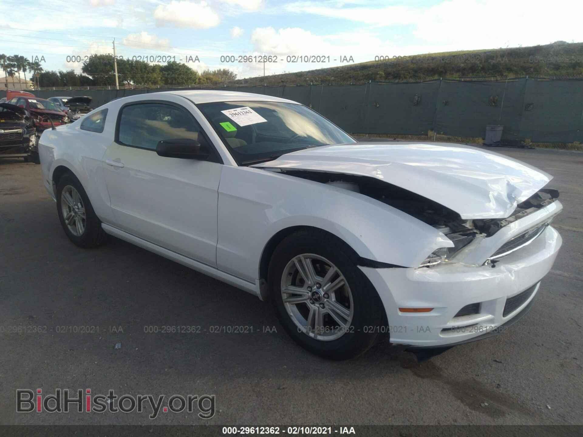 Photo 1ZVBP8AM4E5266830 - FORD MUSTANG 2014
