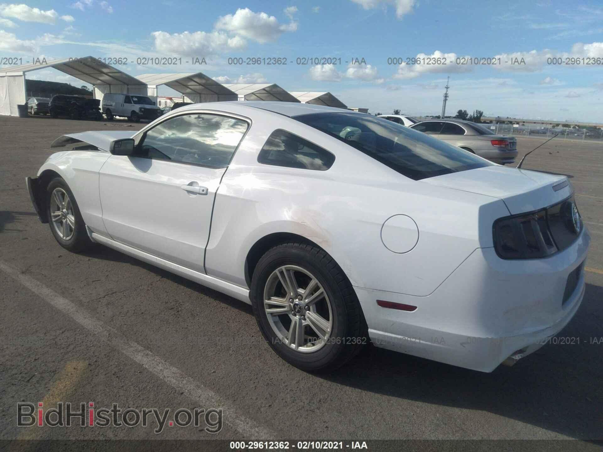 2014 FORD MUSTANG - VIN: 1ZVBP8AM4E5266830 - Photo 3
