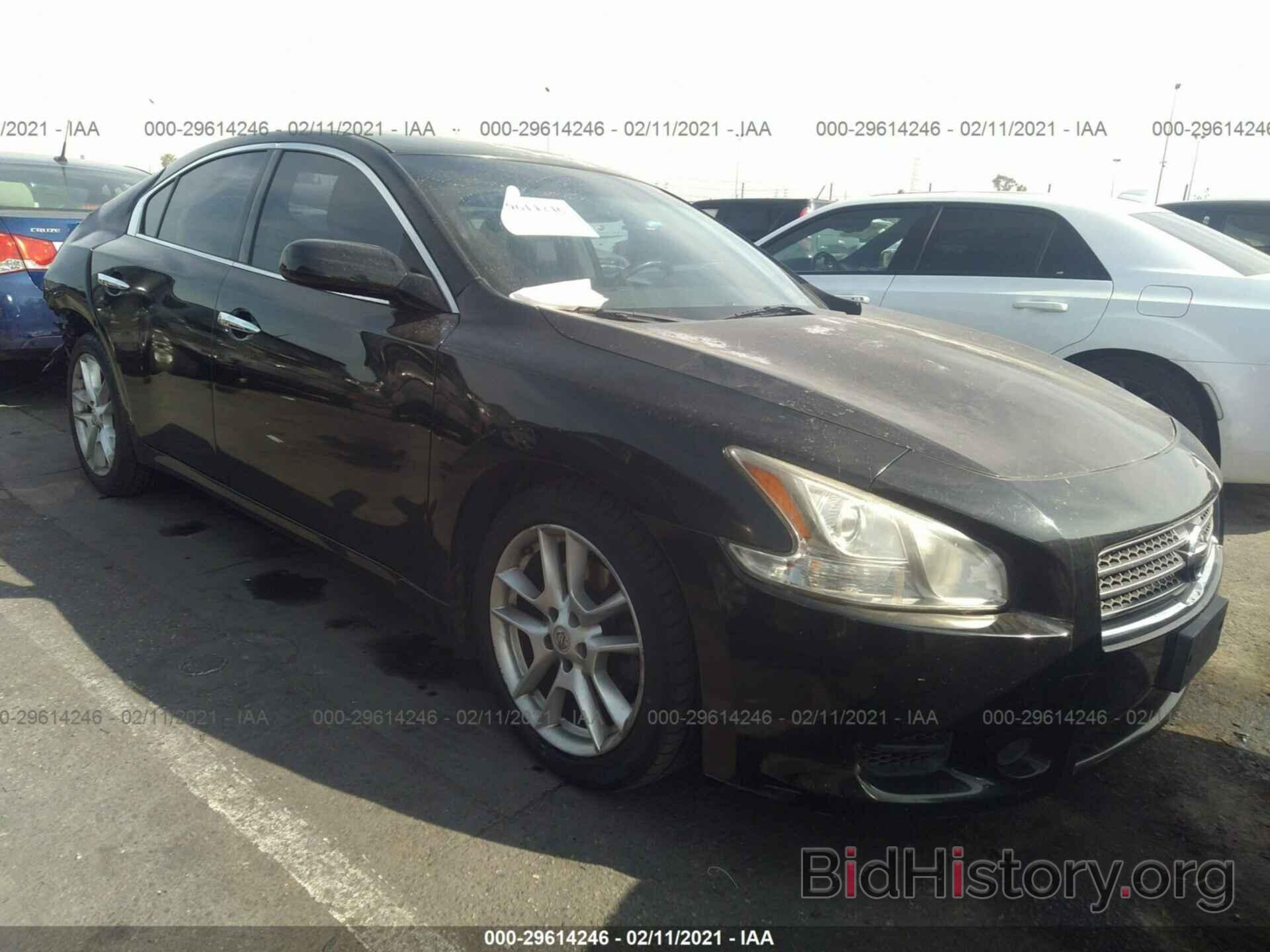 Photo 1N4AA5AP7BC862858 - NISSAN MAXIMA 2011