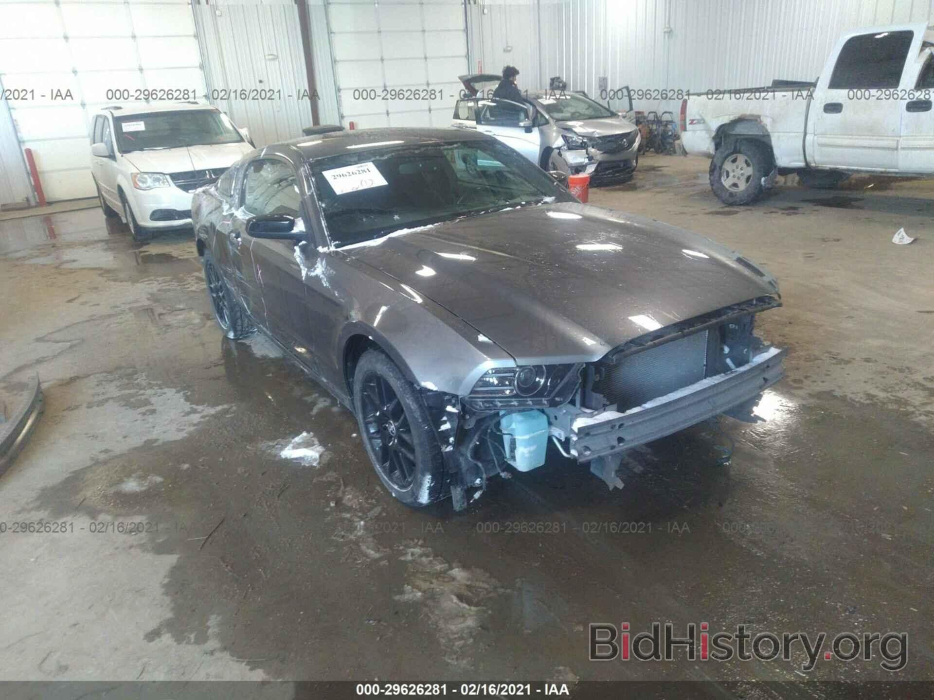Photo 1ZVBP8AM2E5313594 - FORD MUSTANG 2014
