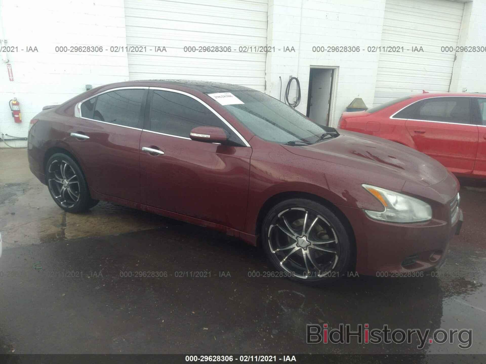 Photo 1N4AA5AP4AC823577 - NISSAN MAXIMA 2010