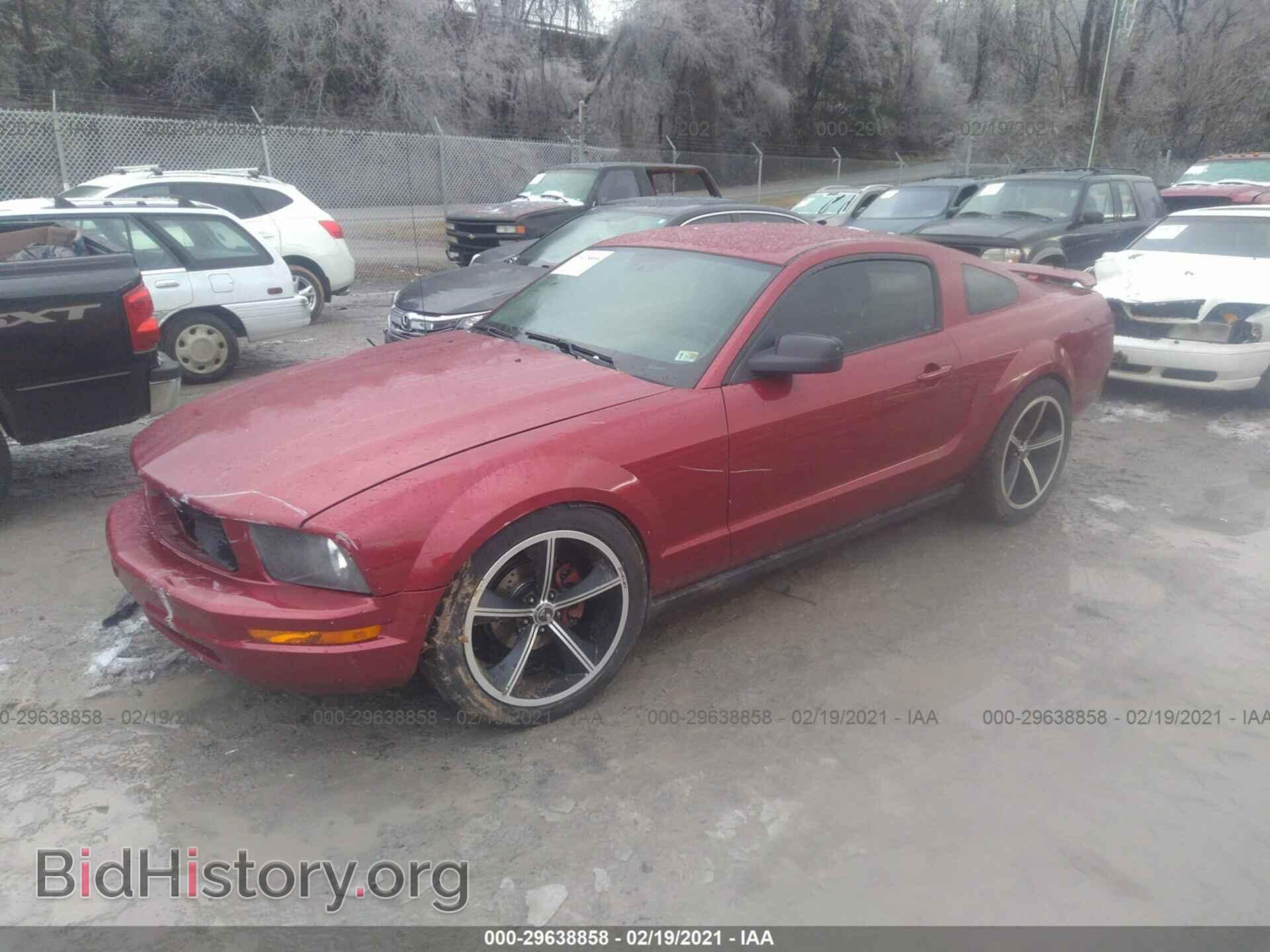 2005 FORD MUSTANG - VIN: 1ZVFT80N955171817 - Фото 2