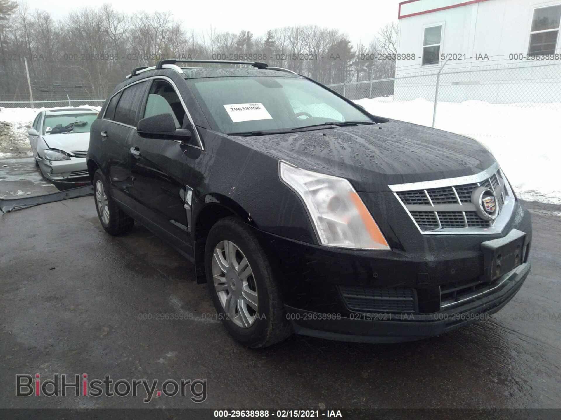 Photo 3GYFNDEY1BS576798 - CADILLAC SRX 2011