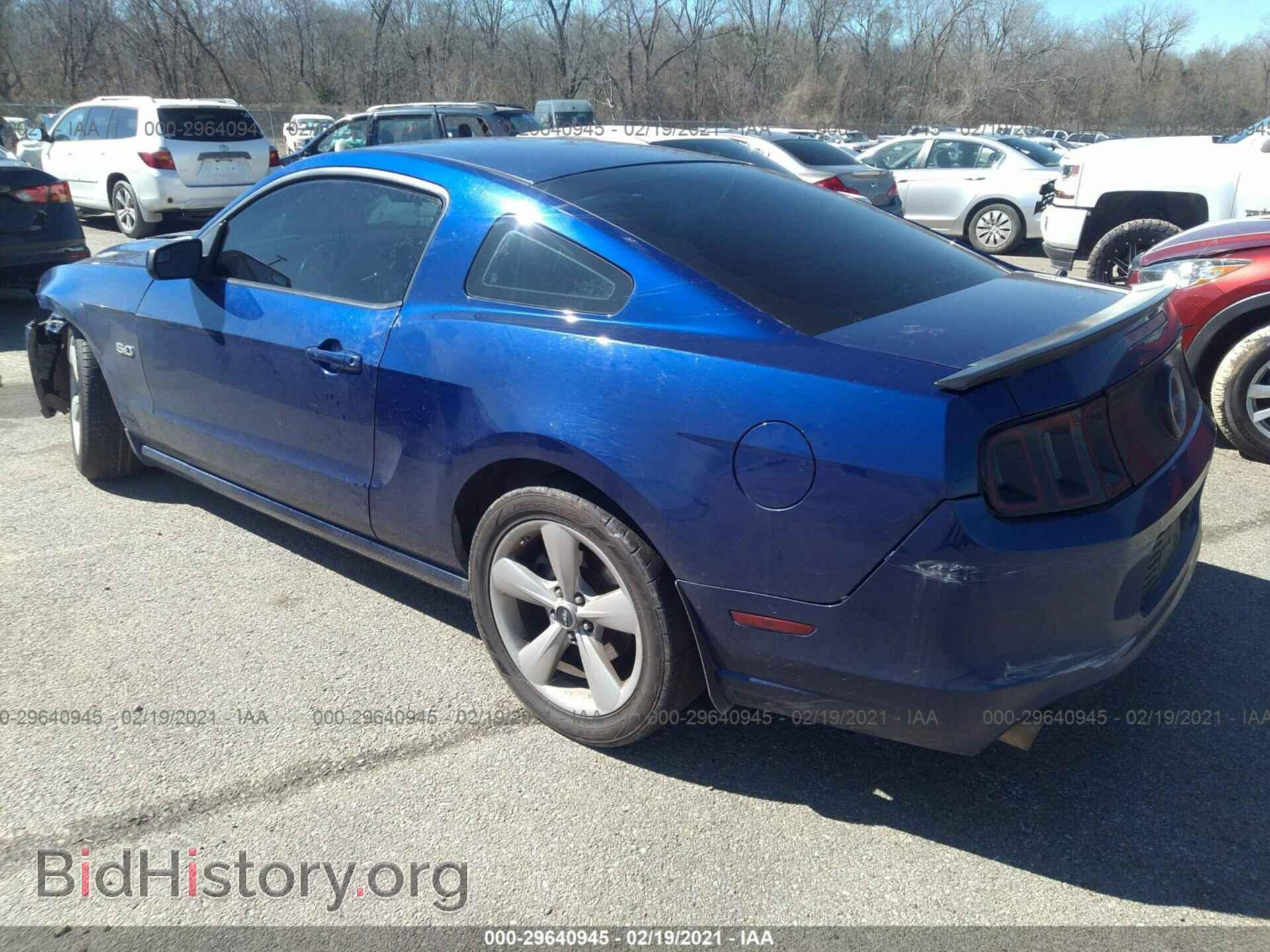2013 FORD MUSTANG - VIN: 1ZVBP8CF6D5282041 - Фото 3