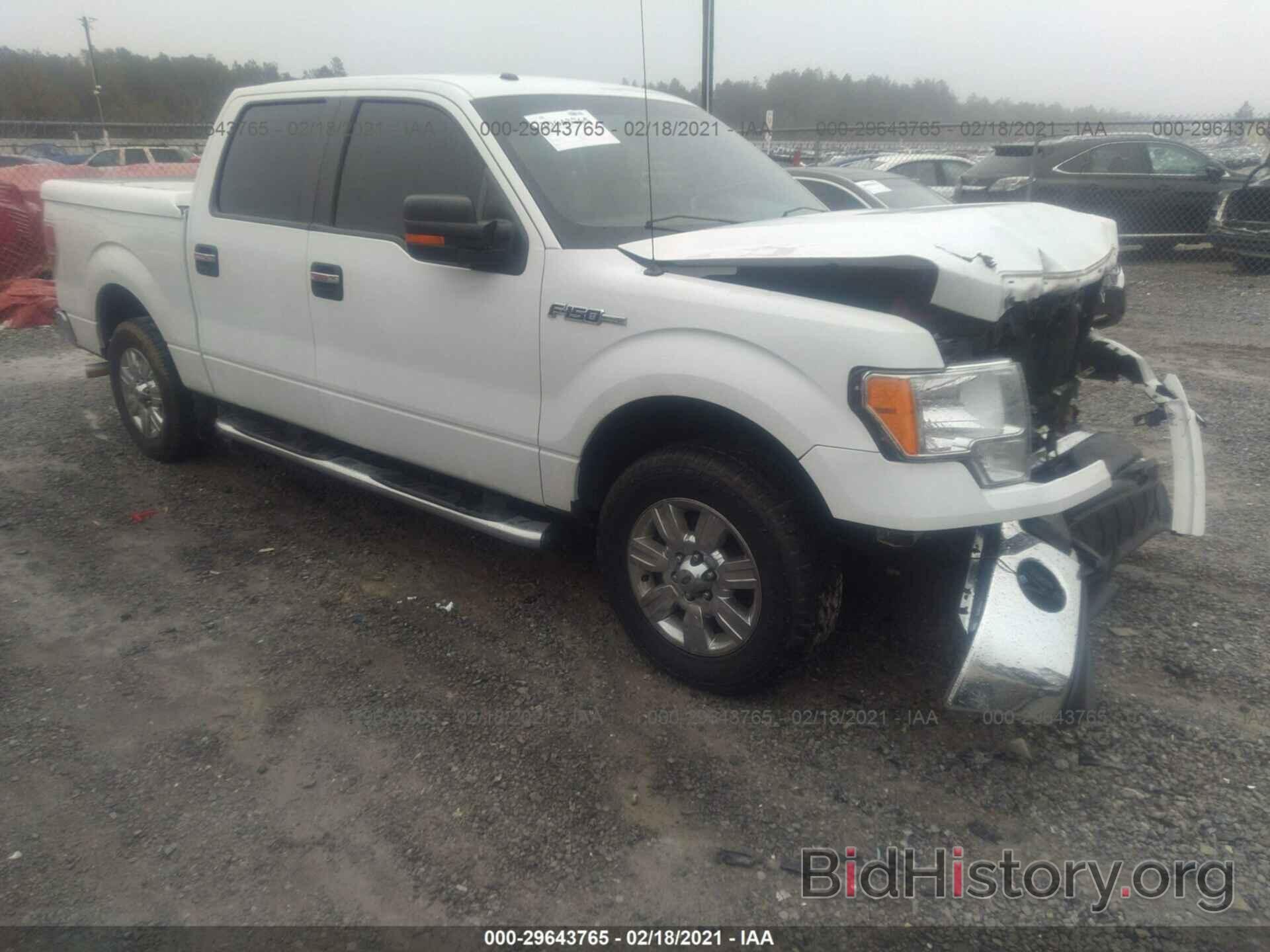Photo 1FTEW1C8XAFD73993 - FORD F-150 2010