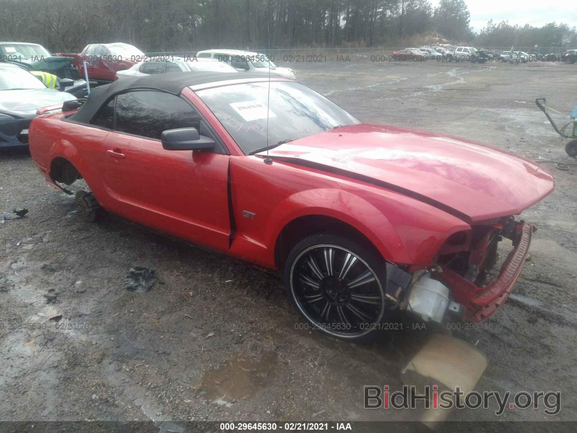 Photo 1ZVFT85H365153902 - FORD MUSTANG 2006