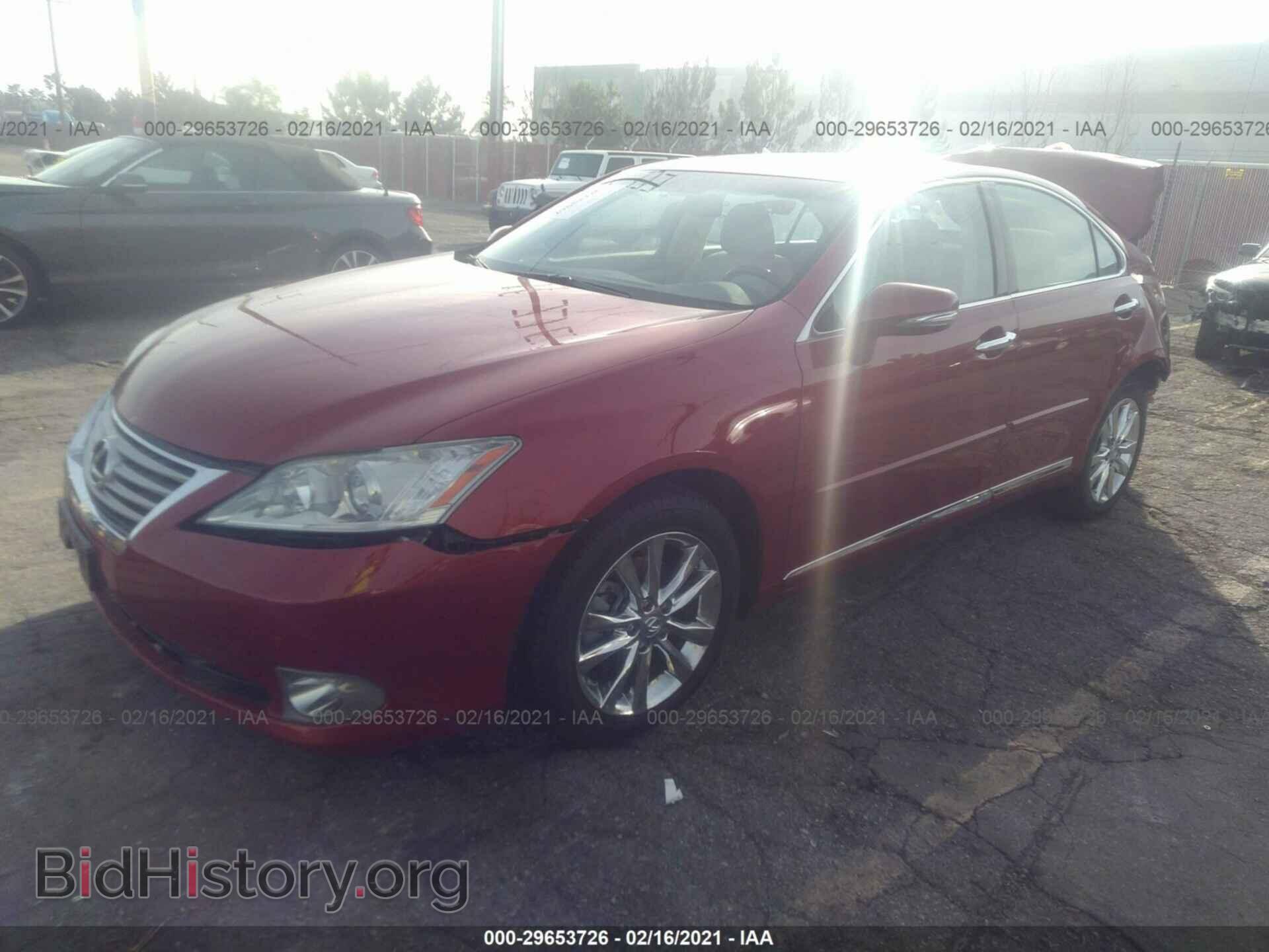 2010 LEXUS ES 350 - VIN: JTHBK1EG8A2409298 - Фото 2